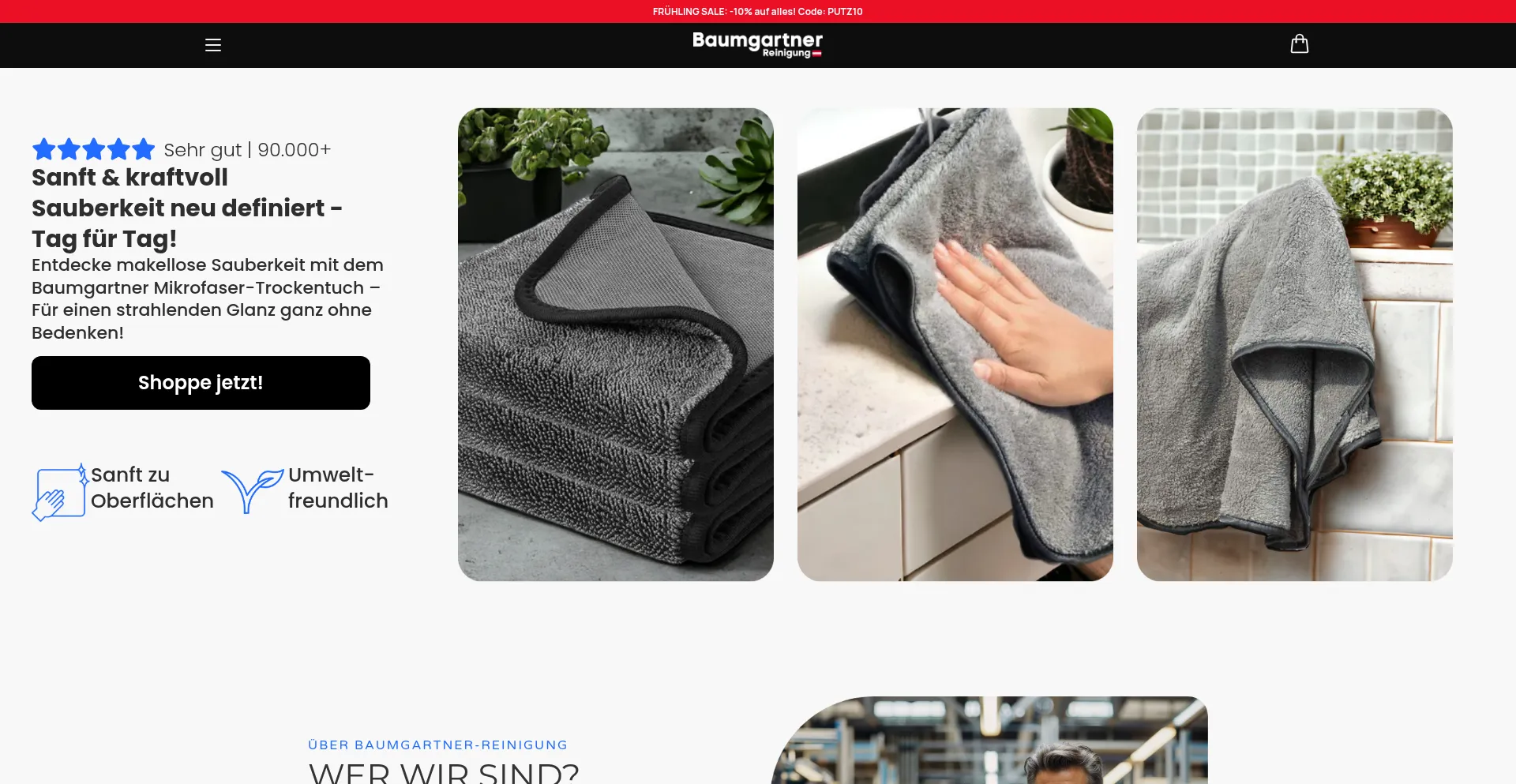 Website screenshot of Baumgartner-reinigung.at