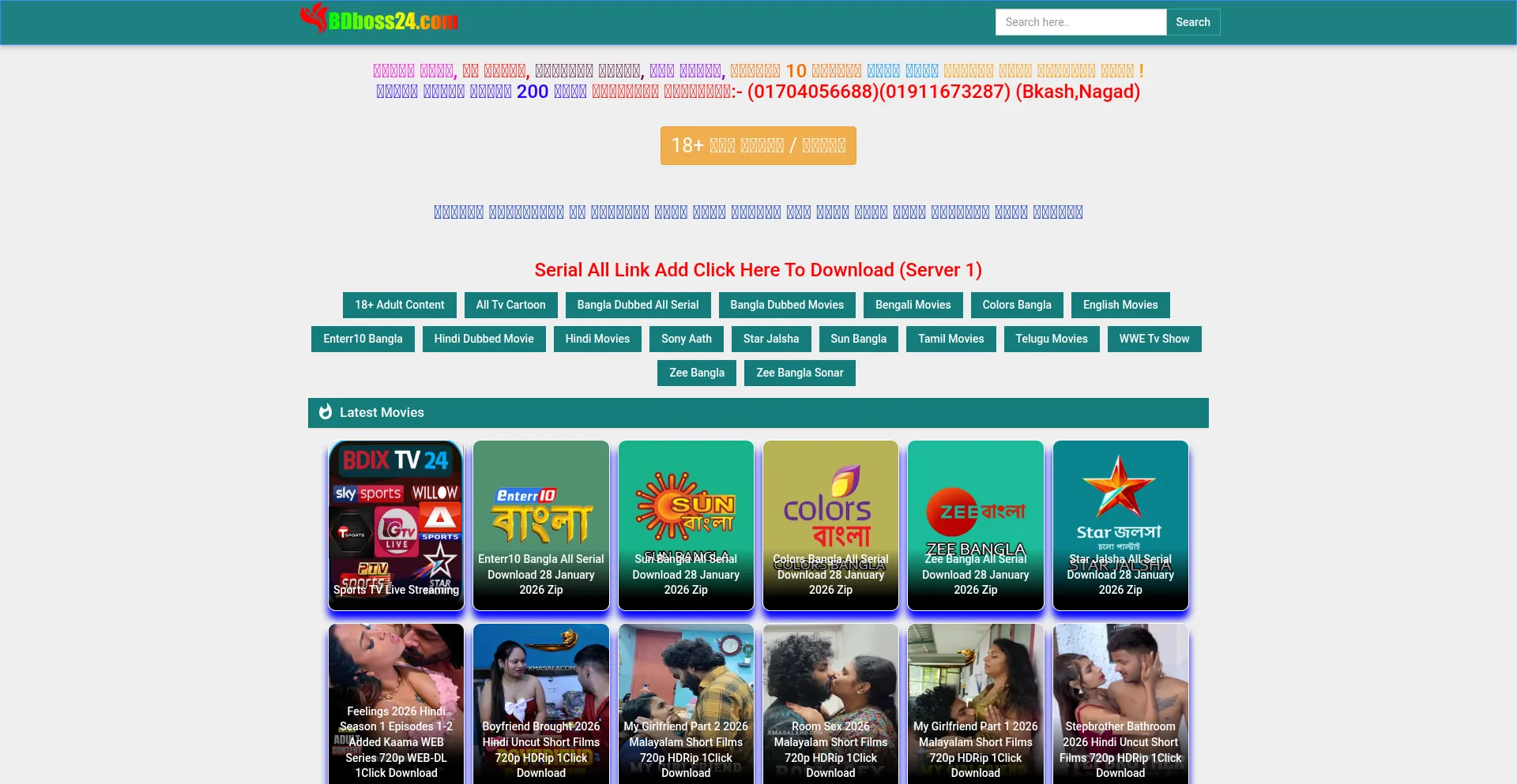 Bdboss24.com