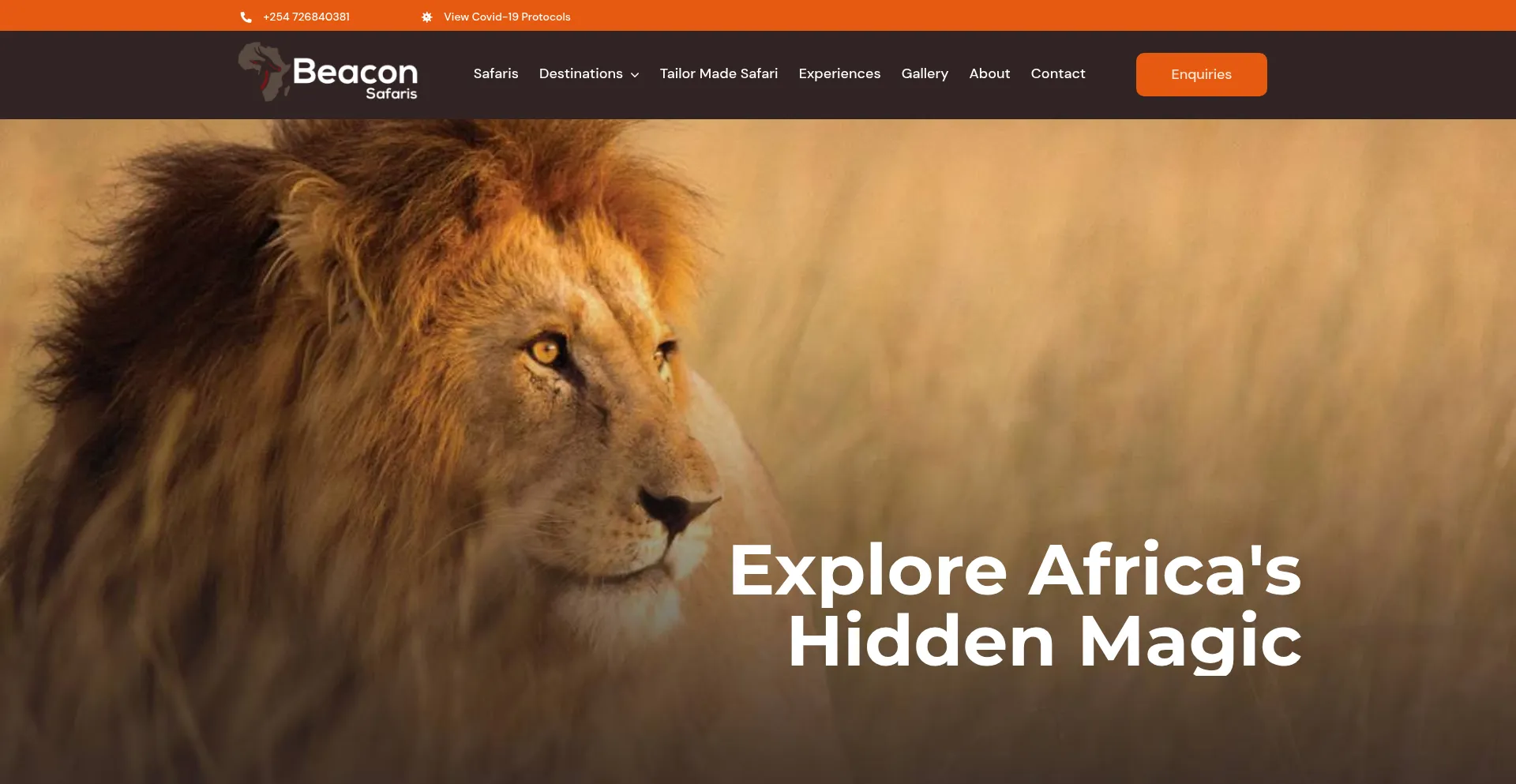 Beaconsafaris.com é Seguro e Confiável?