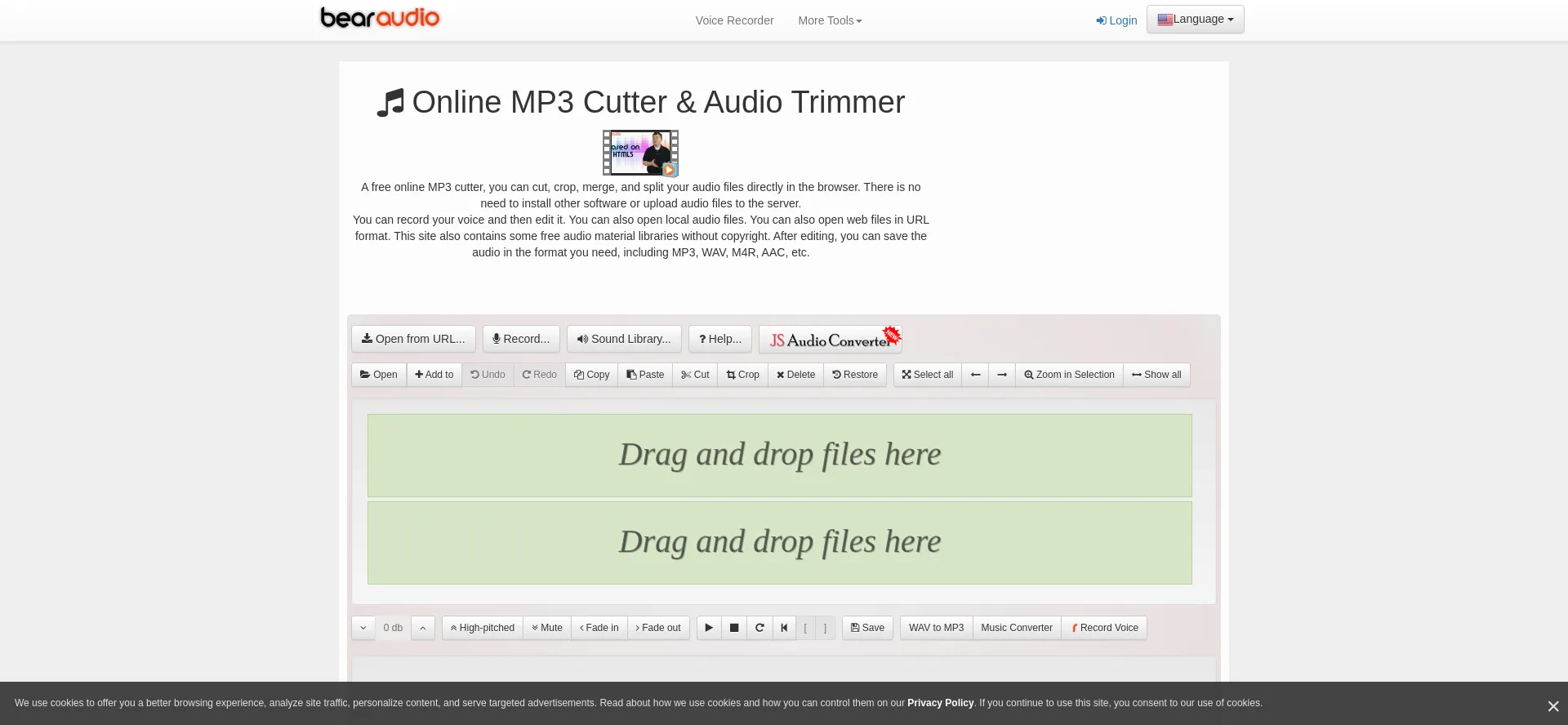 Website screenshot of Bearaudiotool.com