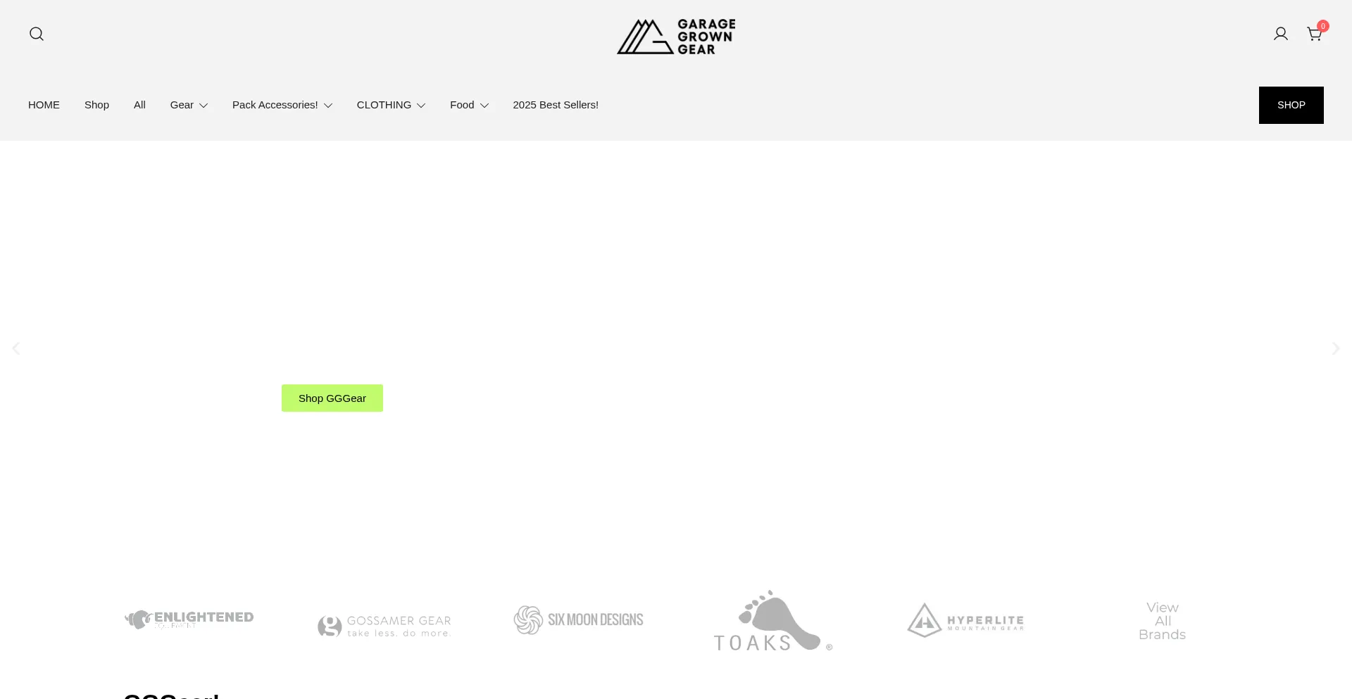 Website screenshot of Beastmodebody.com