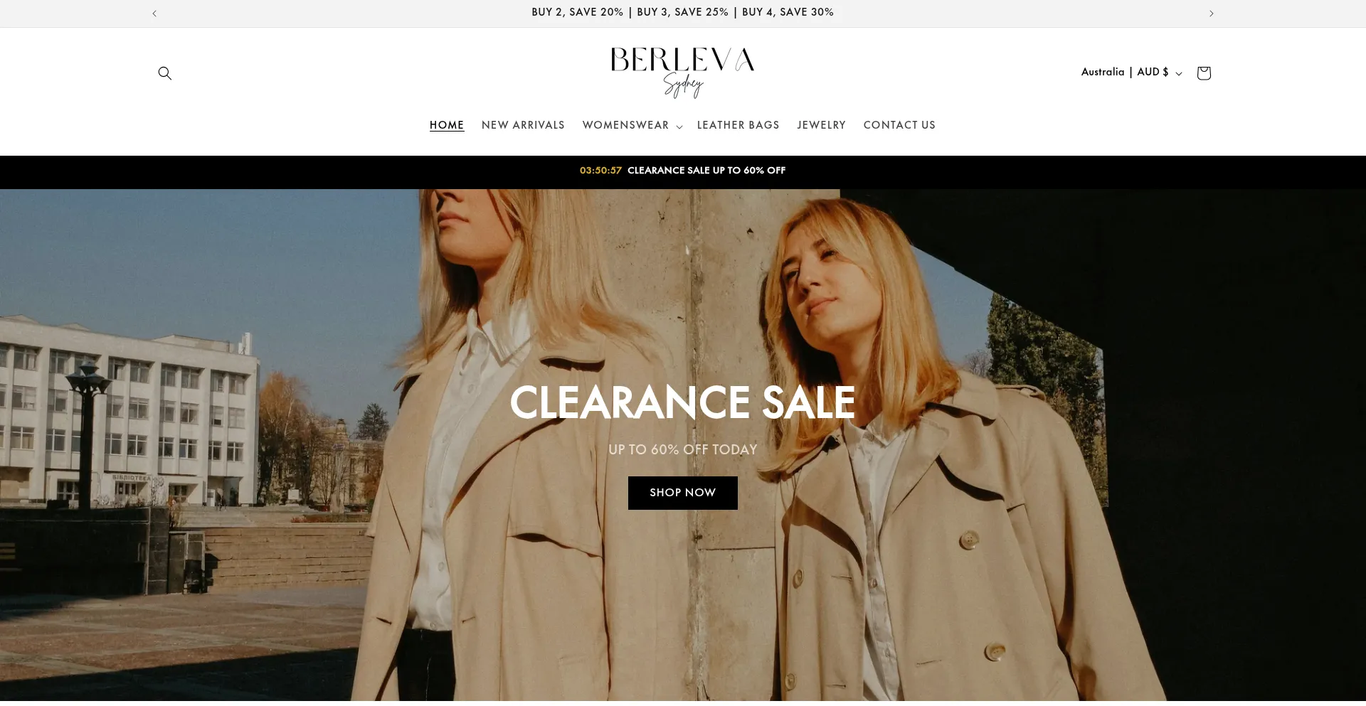 Website screenshot of Berleva.com