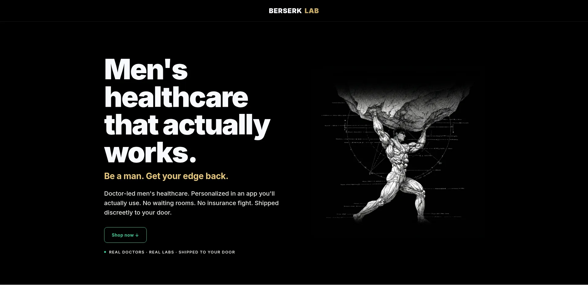 Berserklab.com