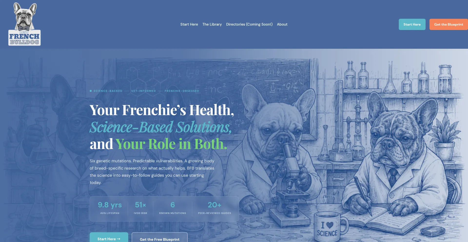 Bestfrenchbulldog.com