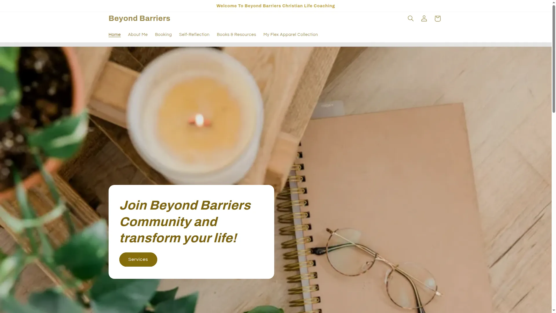 Beyondbarriersllc.com