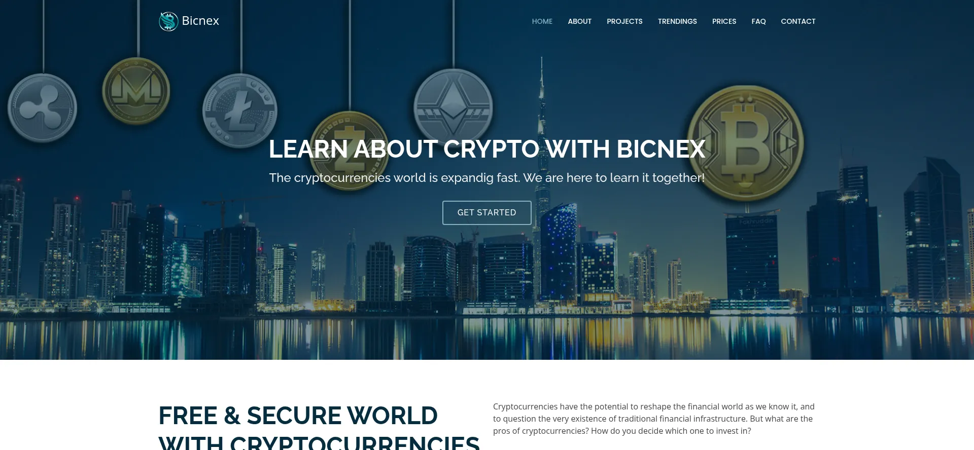 Bicnex.com