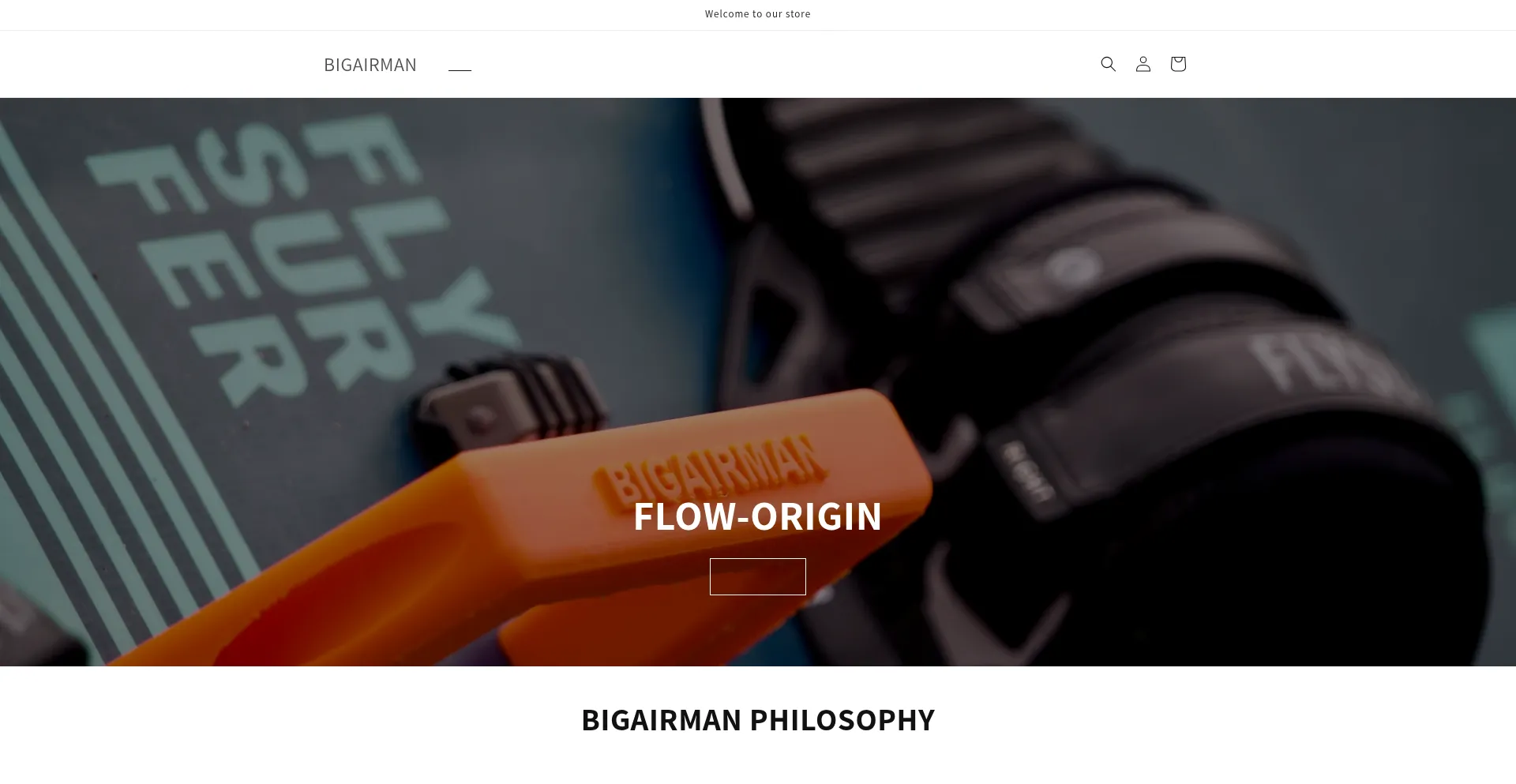 Website screenshot of Bigairman.com