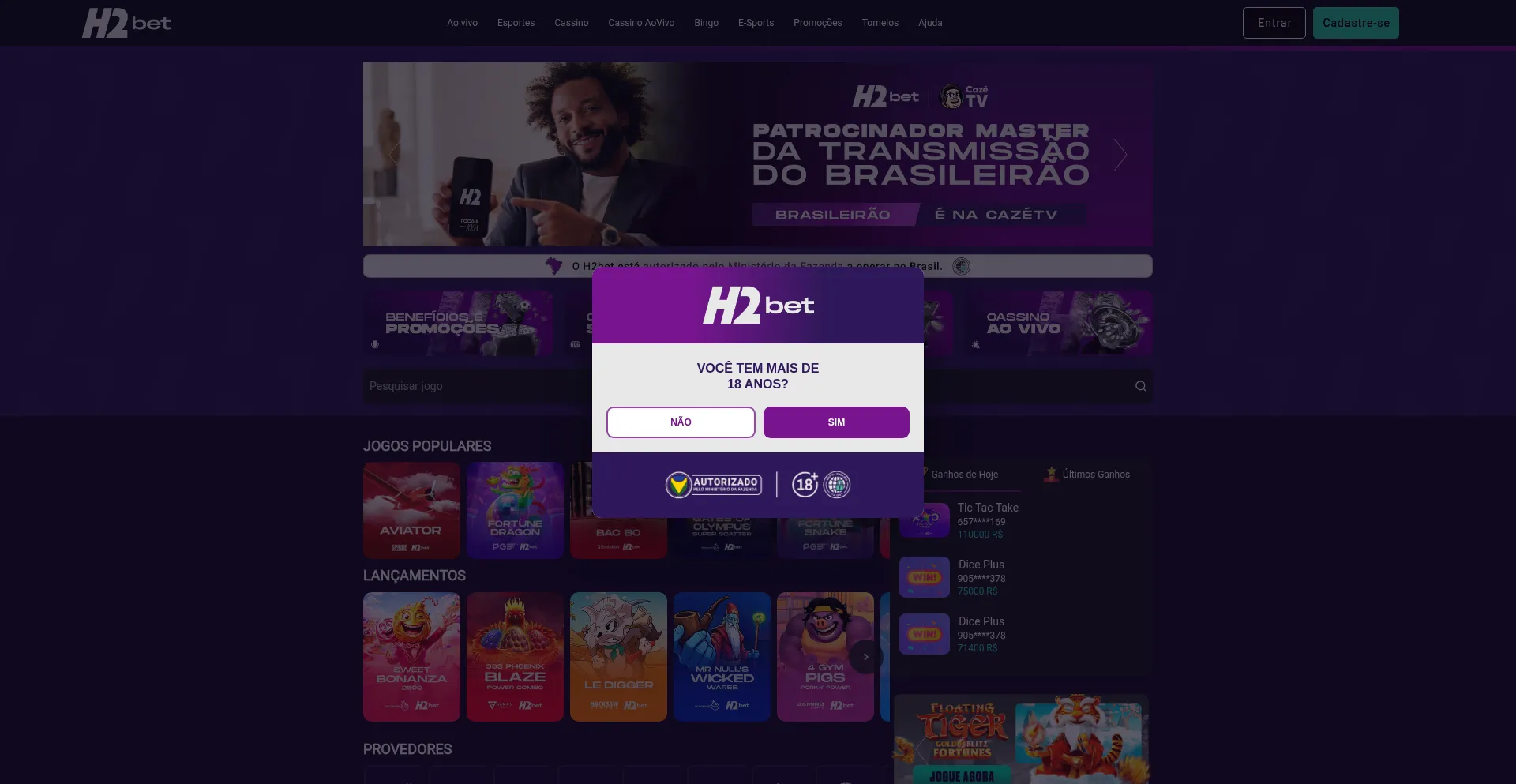 Bigbet66.online