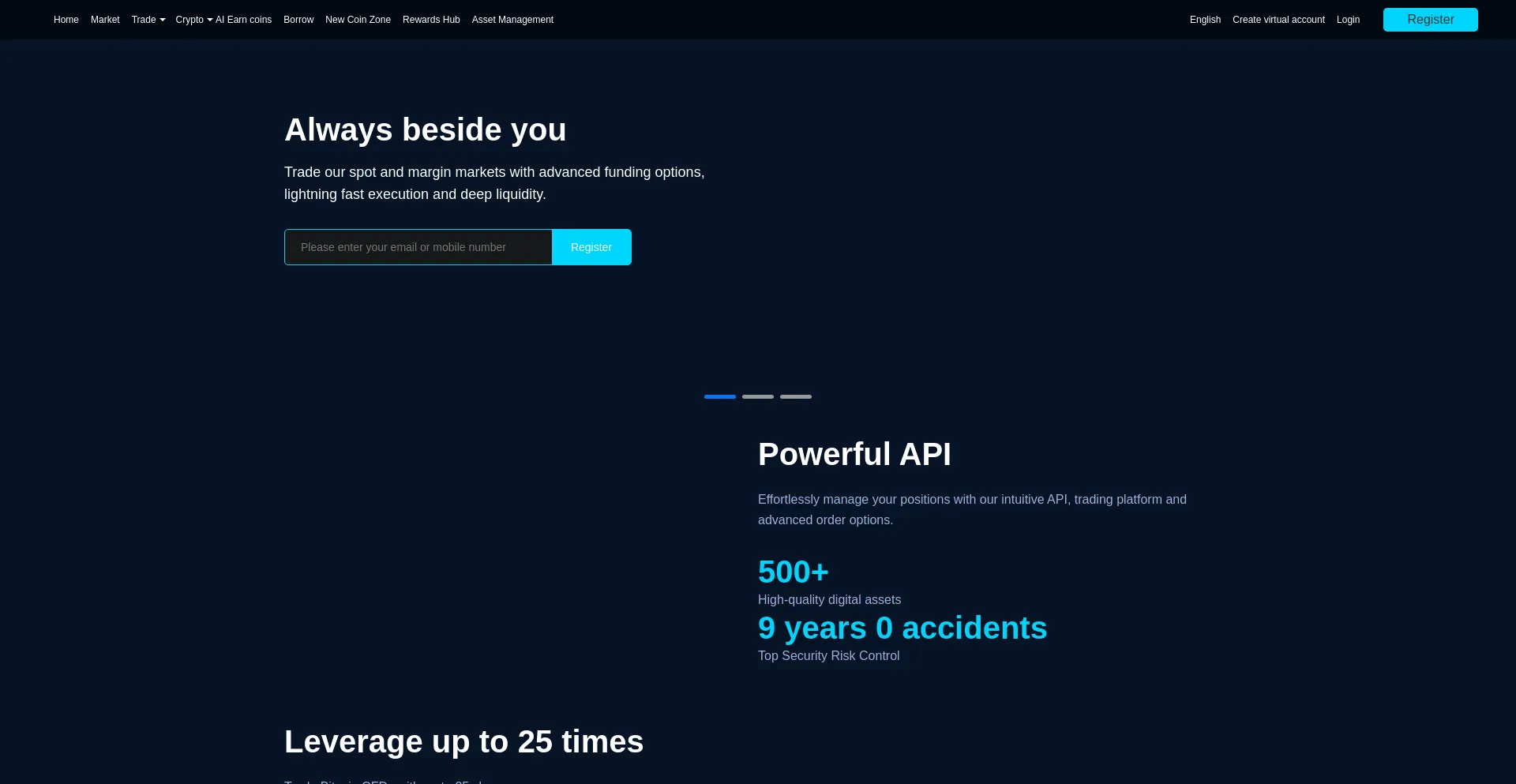Website screenshot of Bikakaib.com