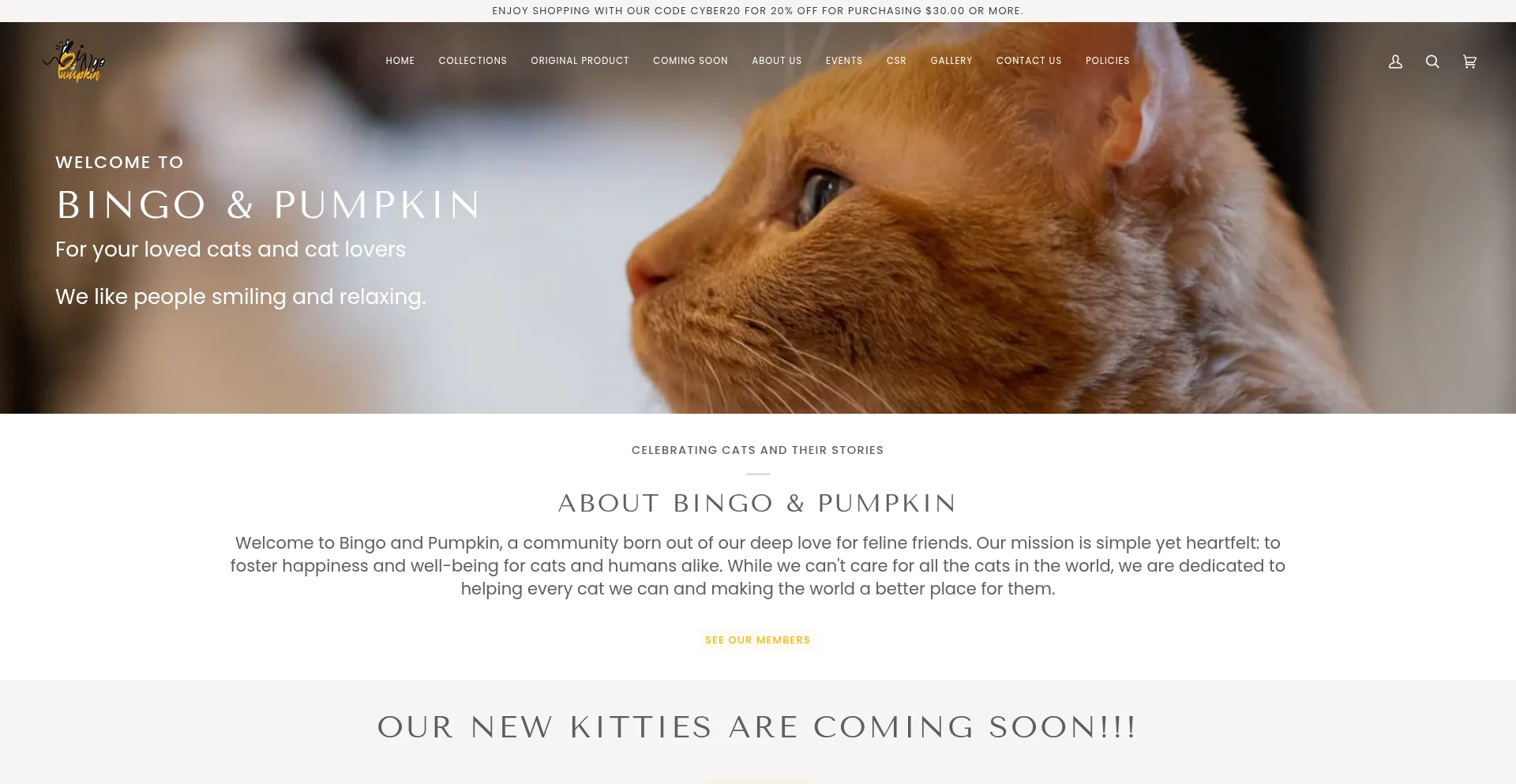 Bingoandpumpkin.com