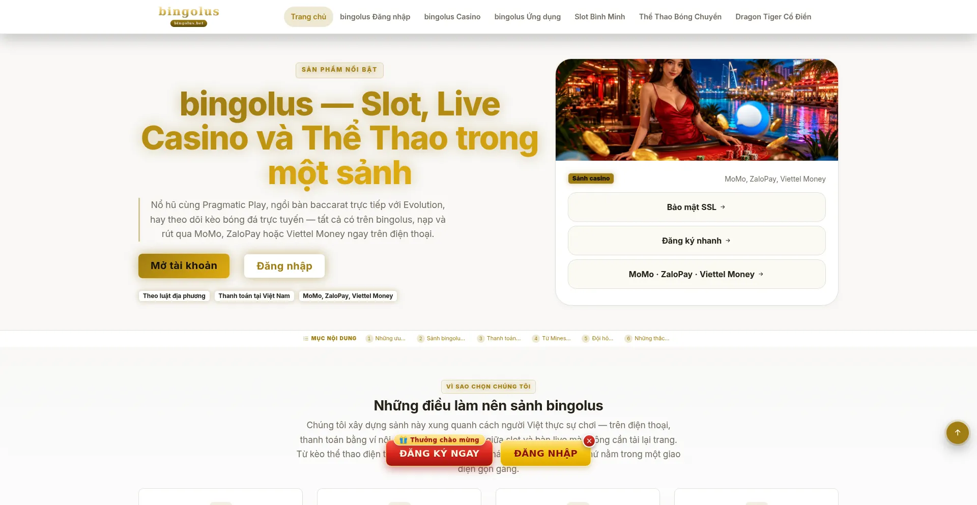 Bingolus.bet