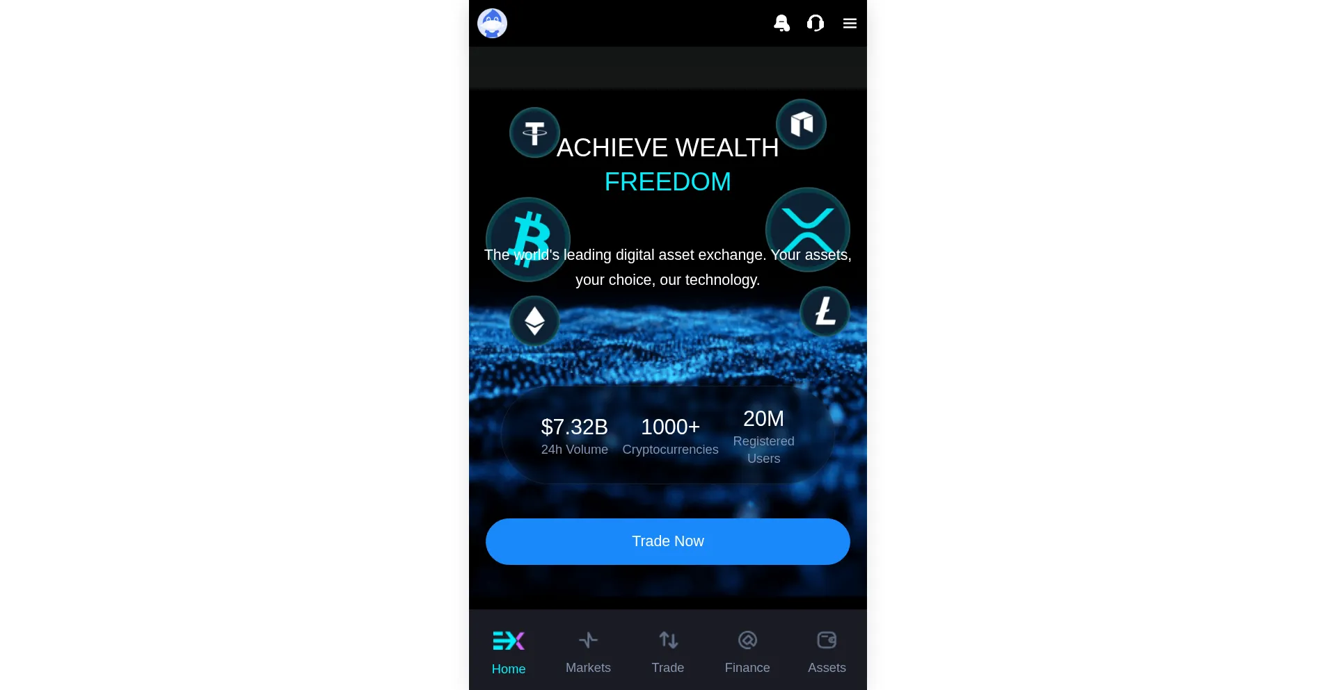 Bitfinex.biz