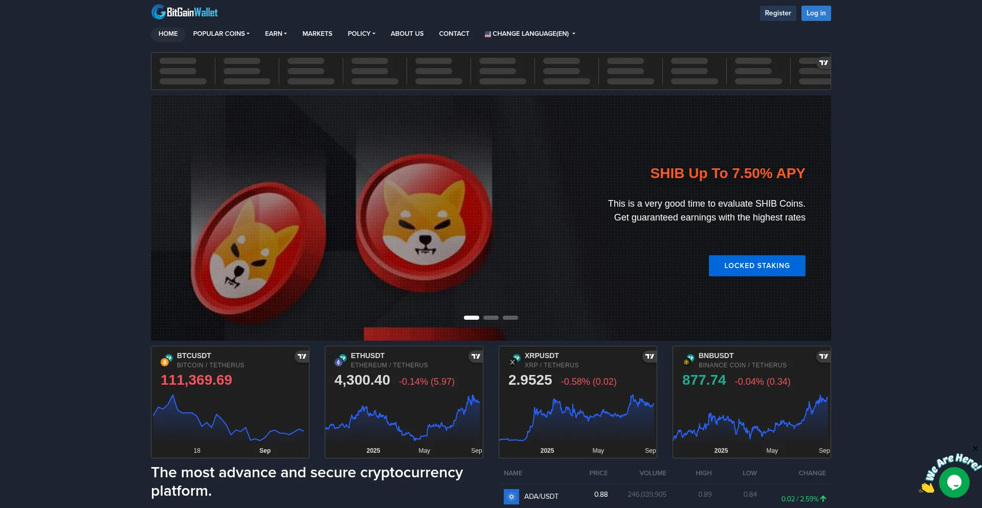 Website screenshot of Bitgainwallet.com