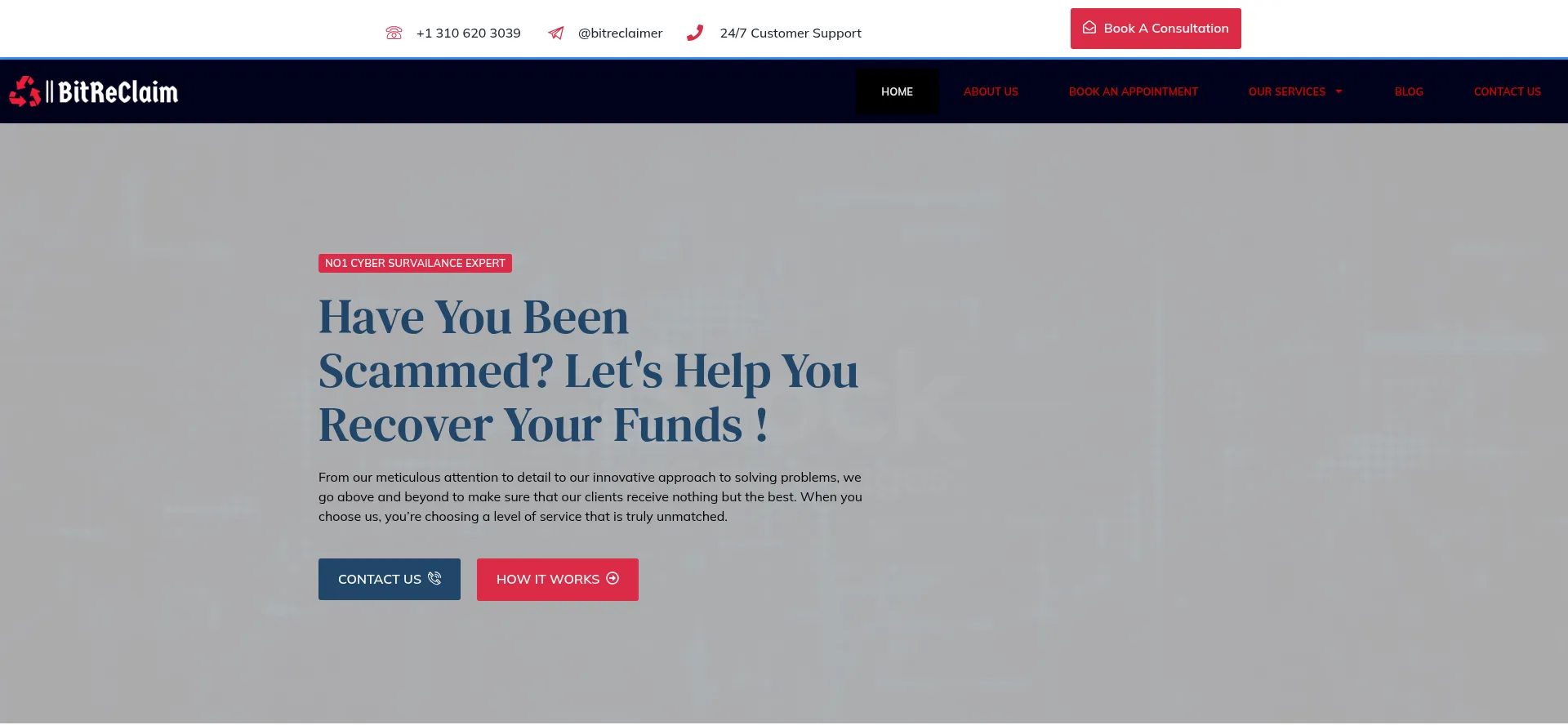 Website screenshot of Bitreclaim.com