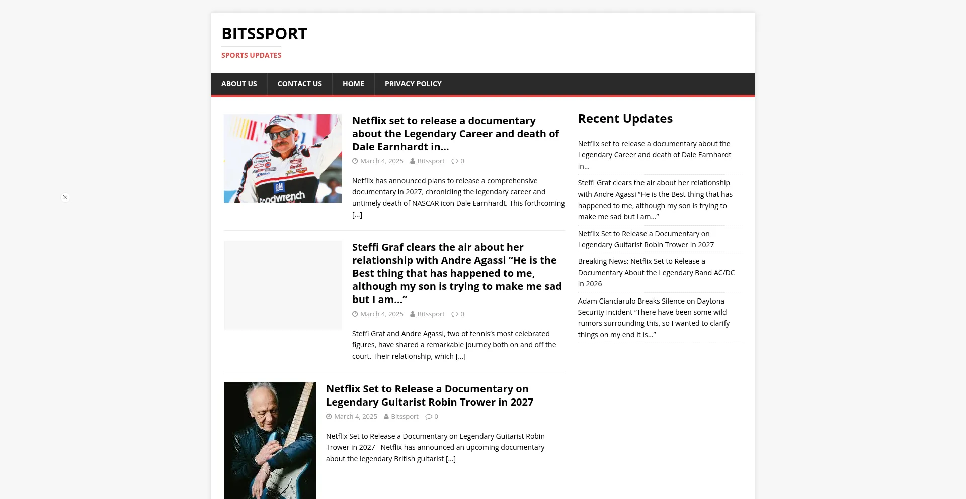 Website screenshot of Bitssport.com