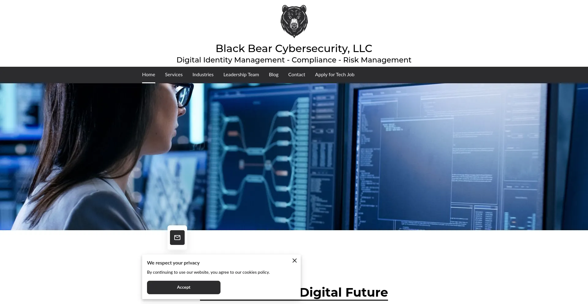 Blackbearcybersecurity.com