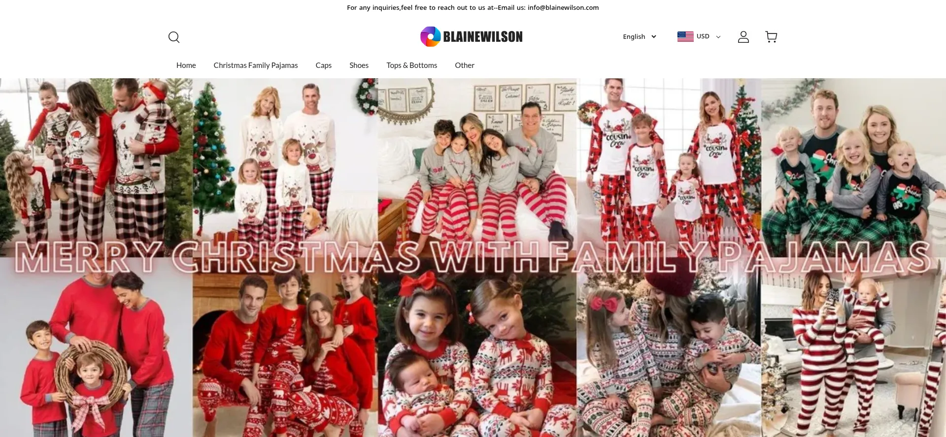 Website screenshot of Blainewilson.com
