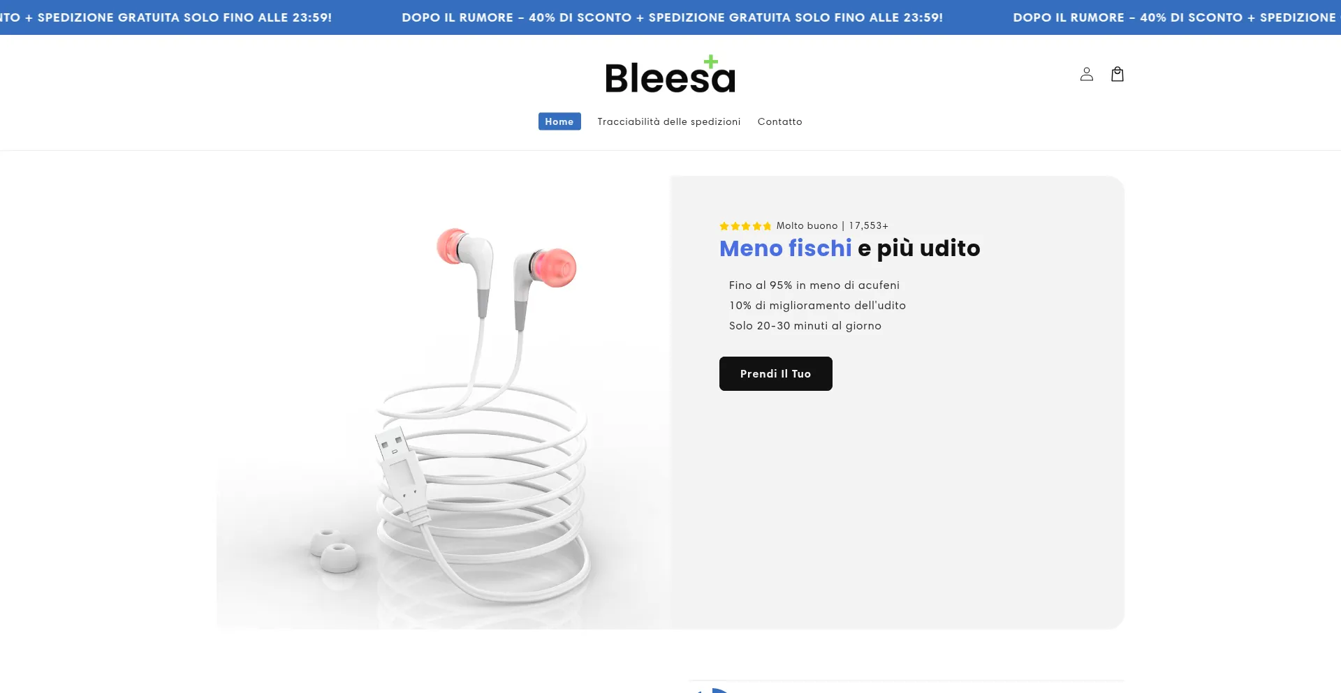 Website screenshot of Bleesa.com