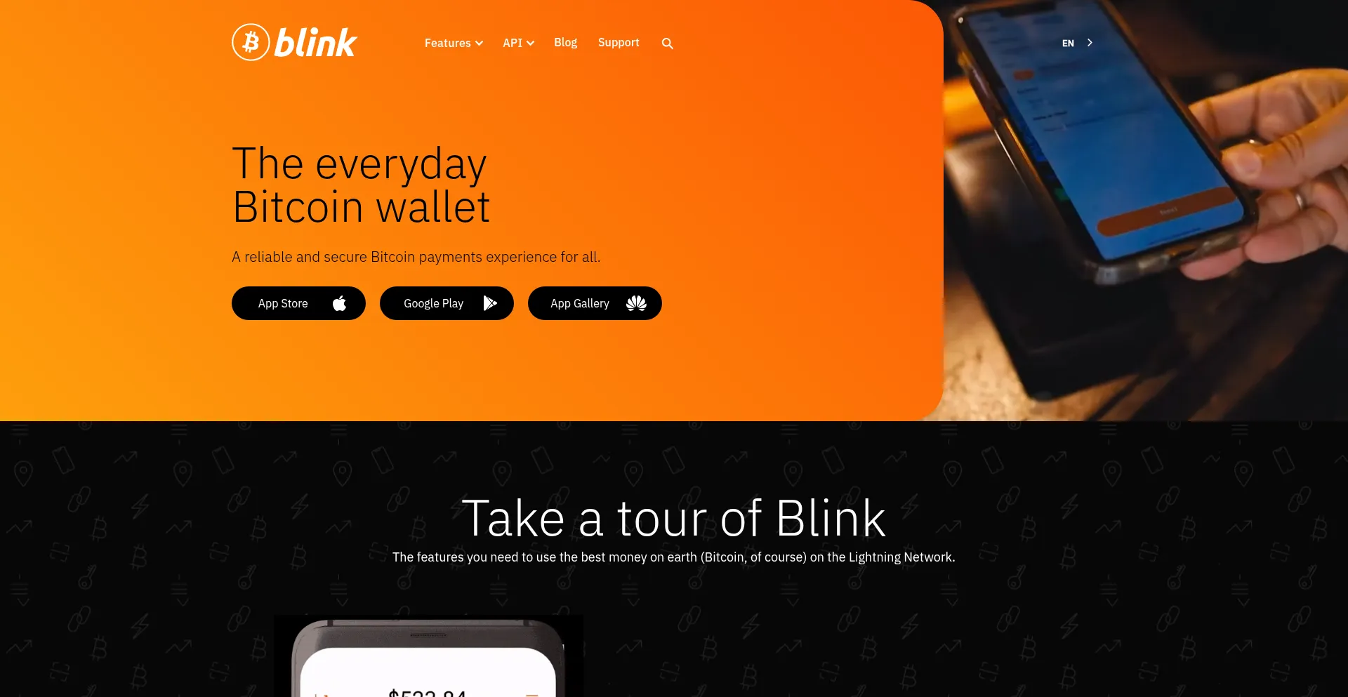 Blink.sv