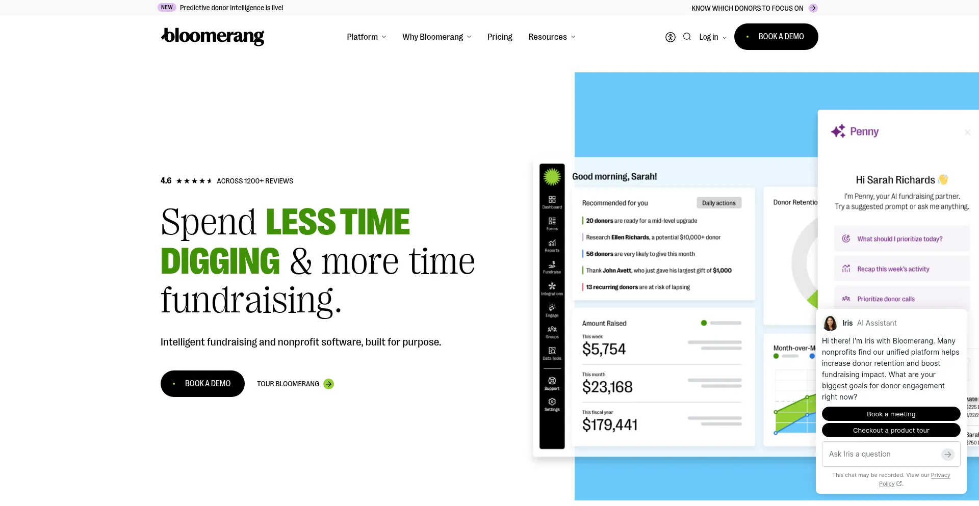 Bloomerang.com
