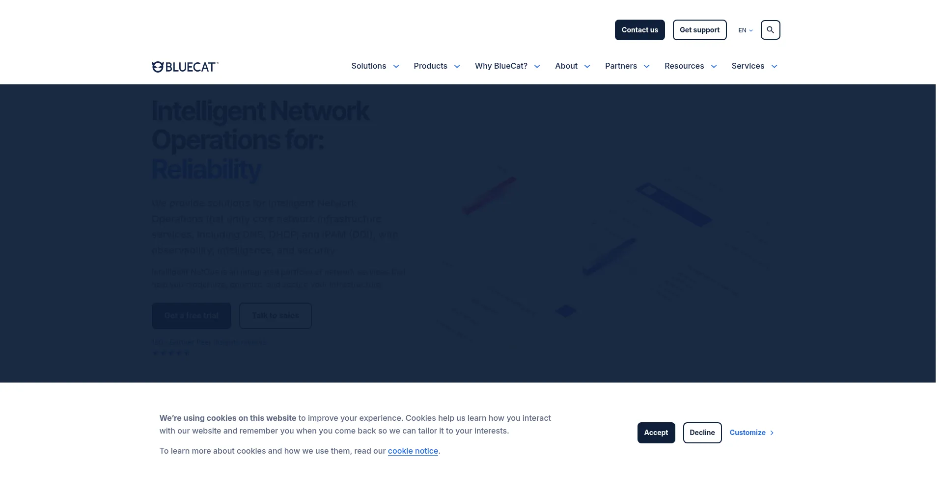 Website screenshot of Bluecatnetworks.com