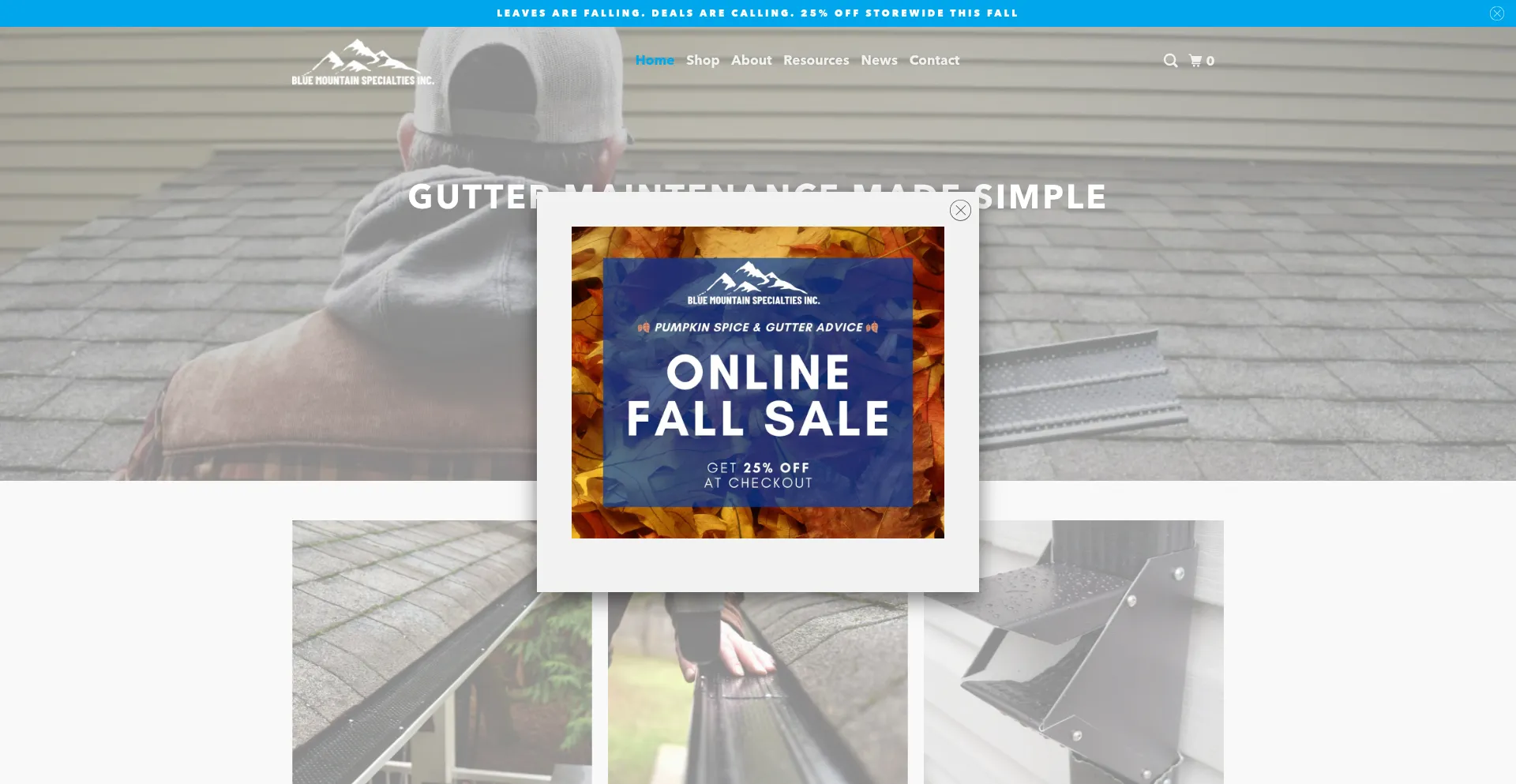Website screenshot of Bluemts.ca