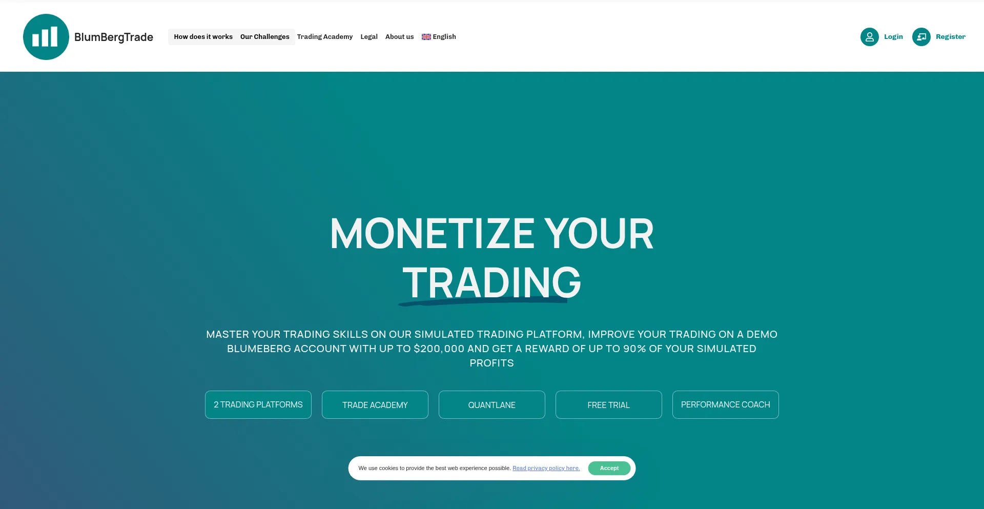 Website screenshot of Blumbergtrade.net