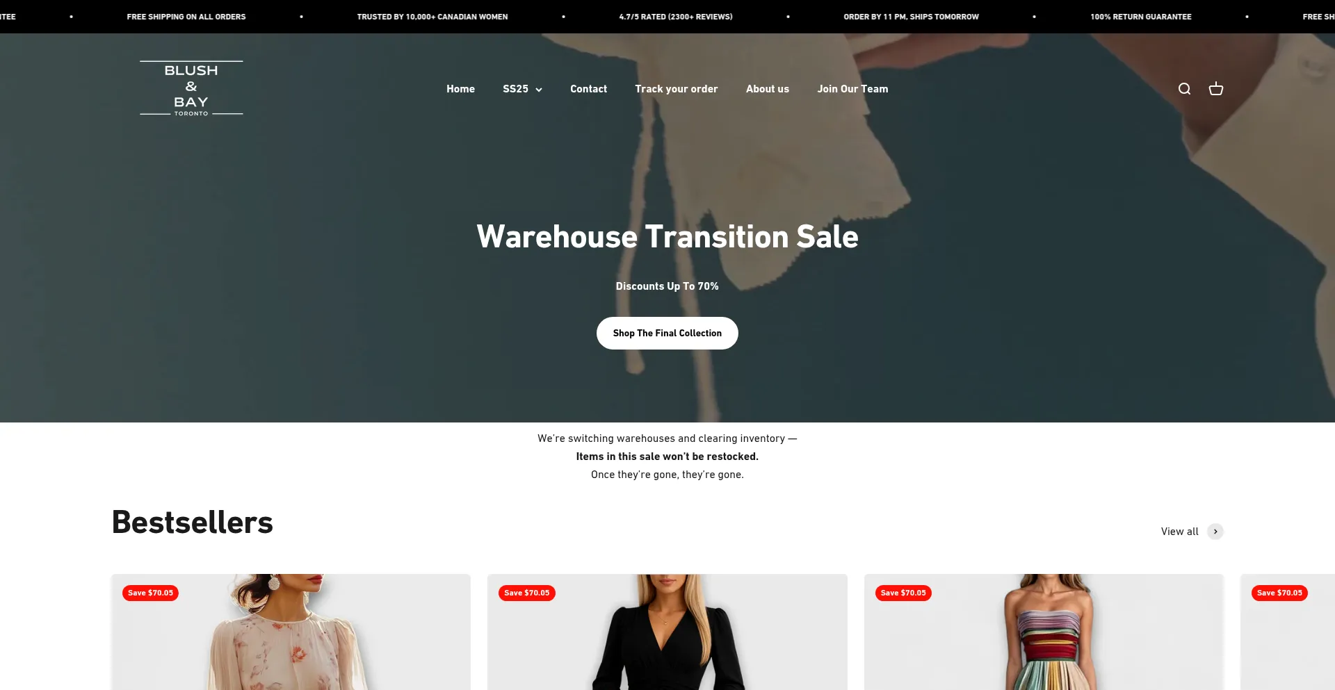 Website screenshot of Blushbaytoronto.com