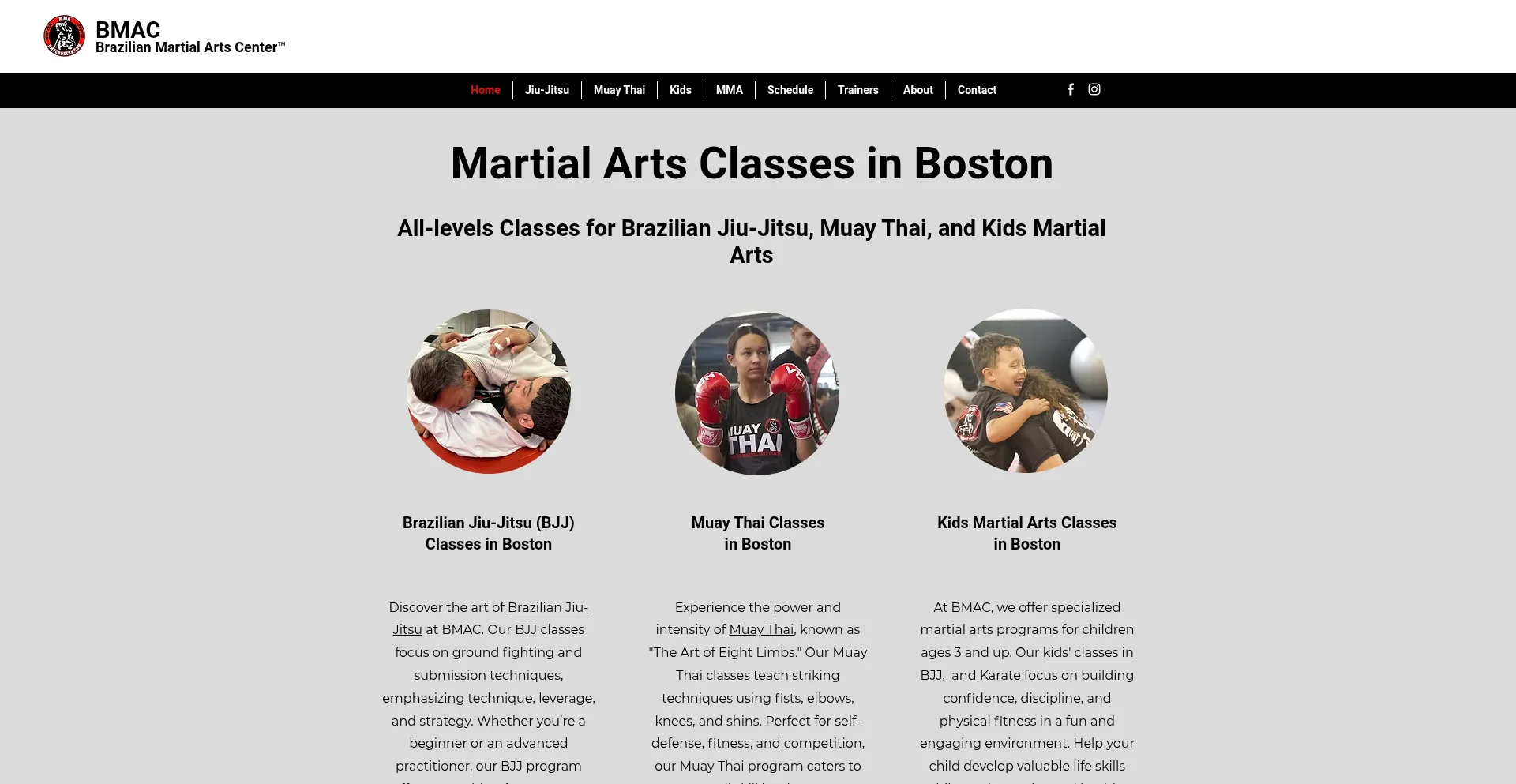 Website screenshot of Bmacboston.com