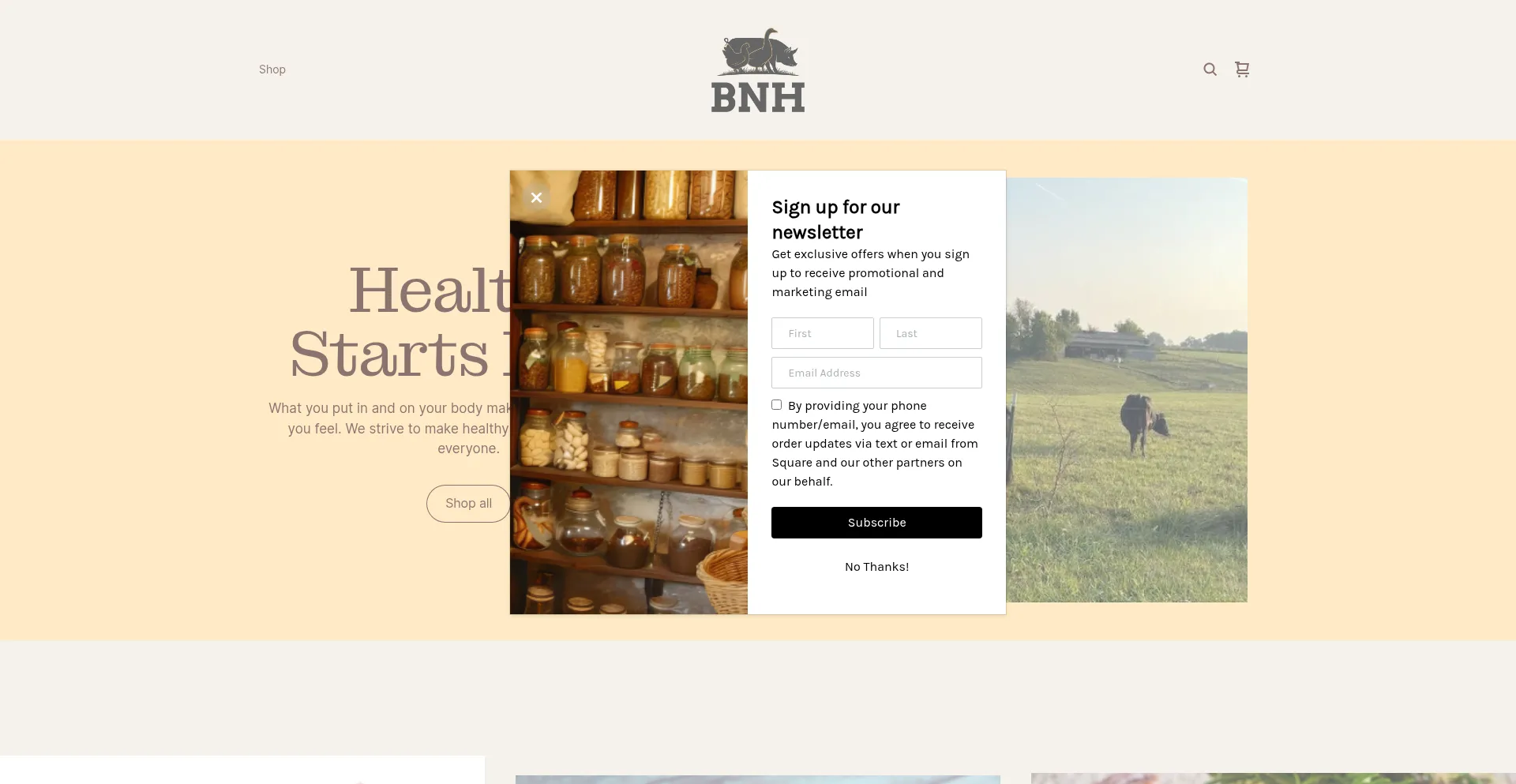 Website screenshot of Bnhfarmstore.com