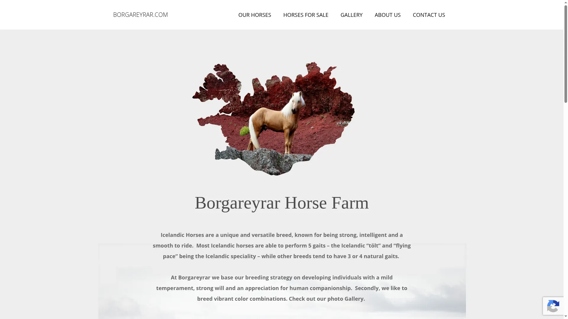 Borgareyrar.com