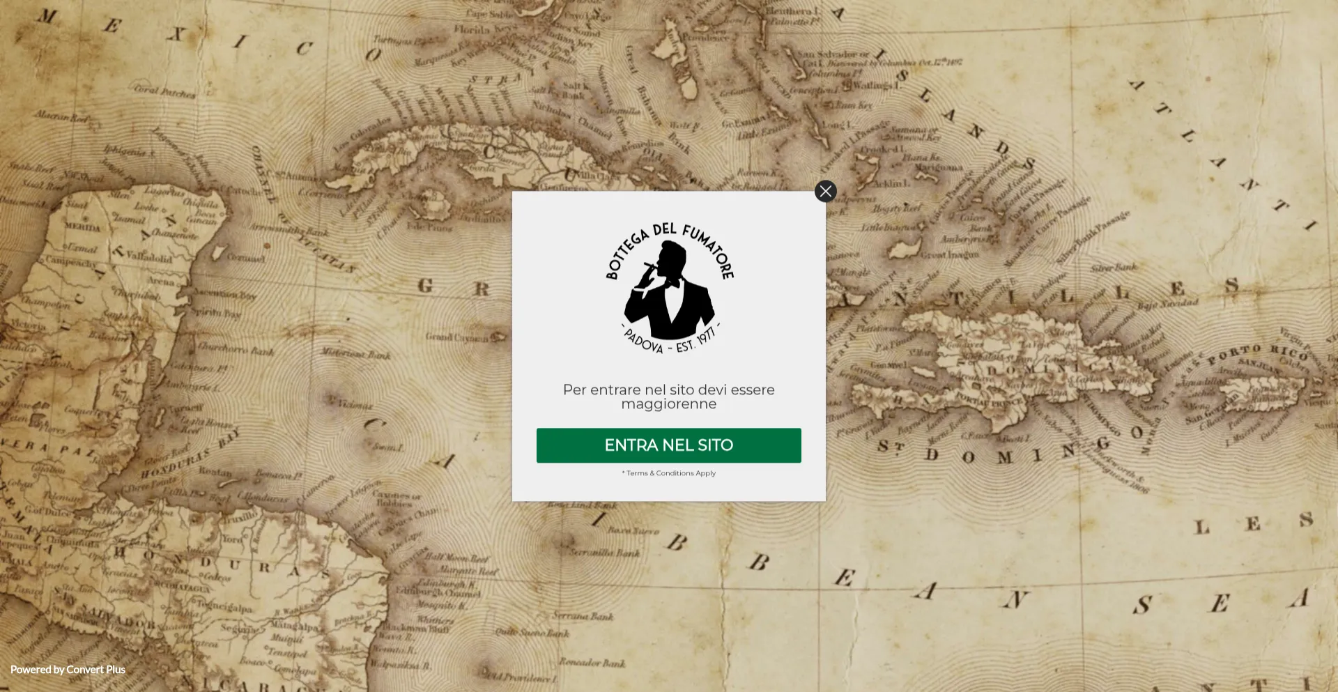 Bottegadelfumatore.com Screenshot