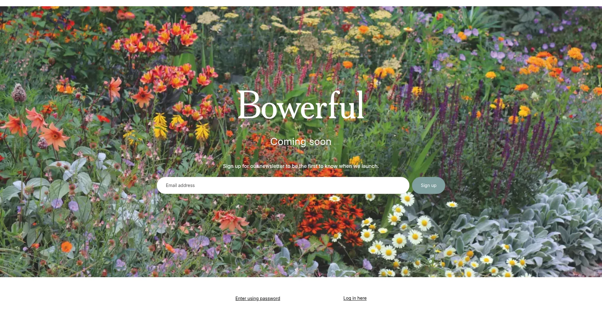 Bowerful.com é Seguro e Confiável?