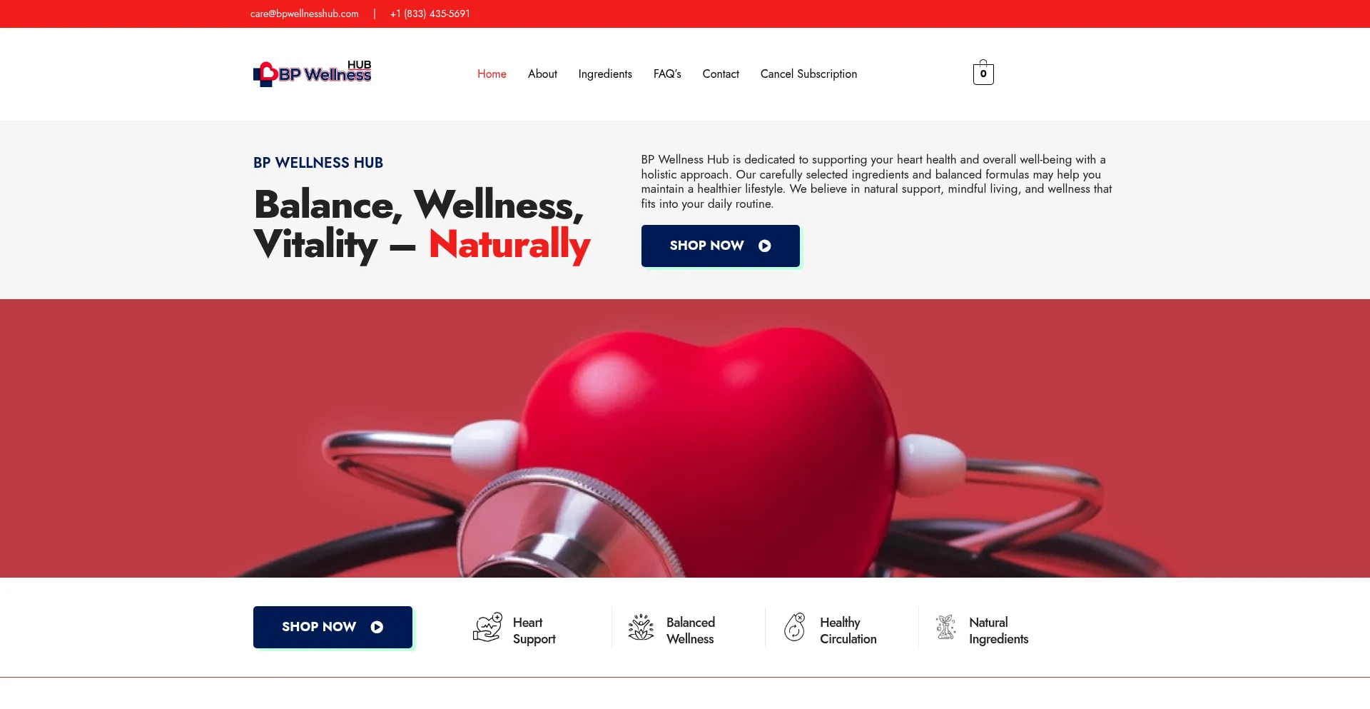 Website screenshot of Bpwellnesshub.com