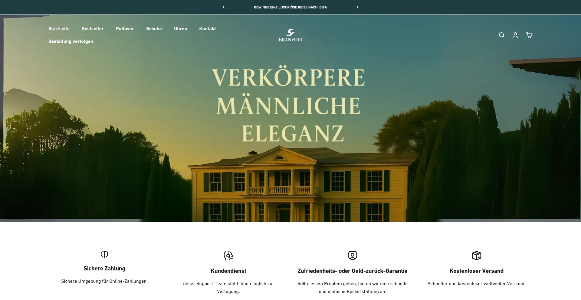 Website screenshot of Branvoir.com