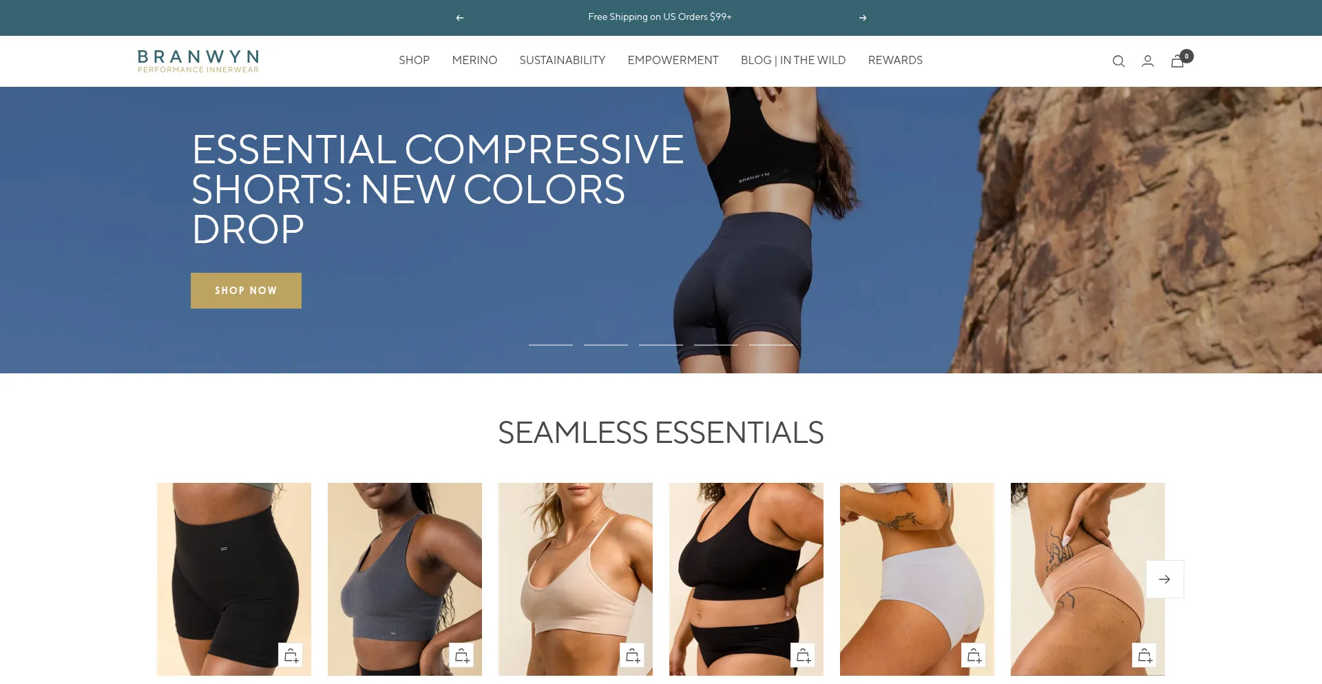 Website screenshot of Branwyn.com