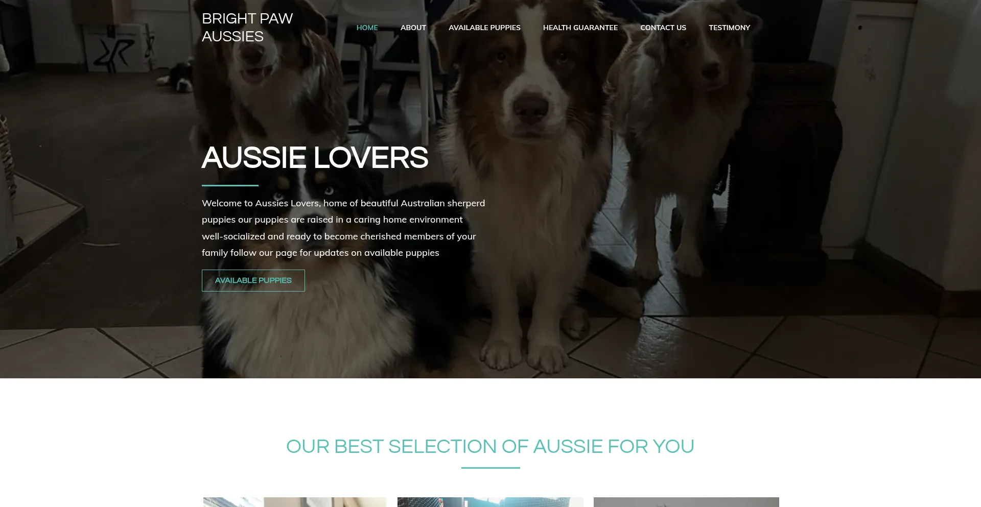 Bright-pawaussies.com