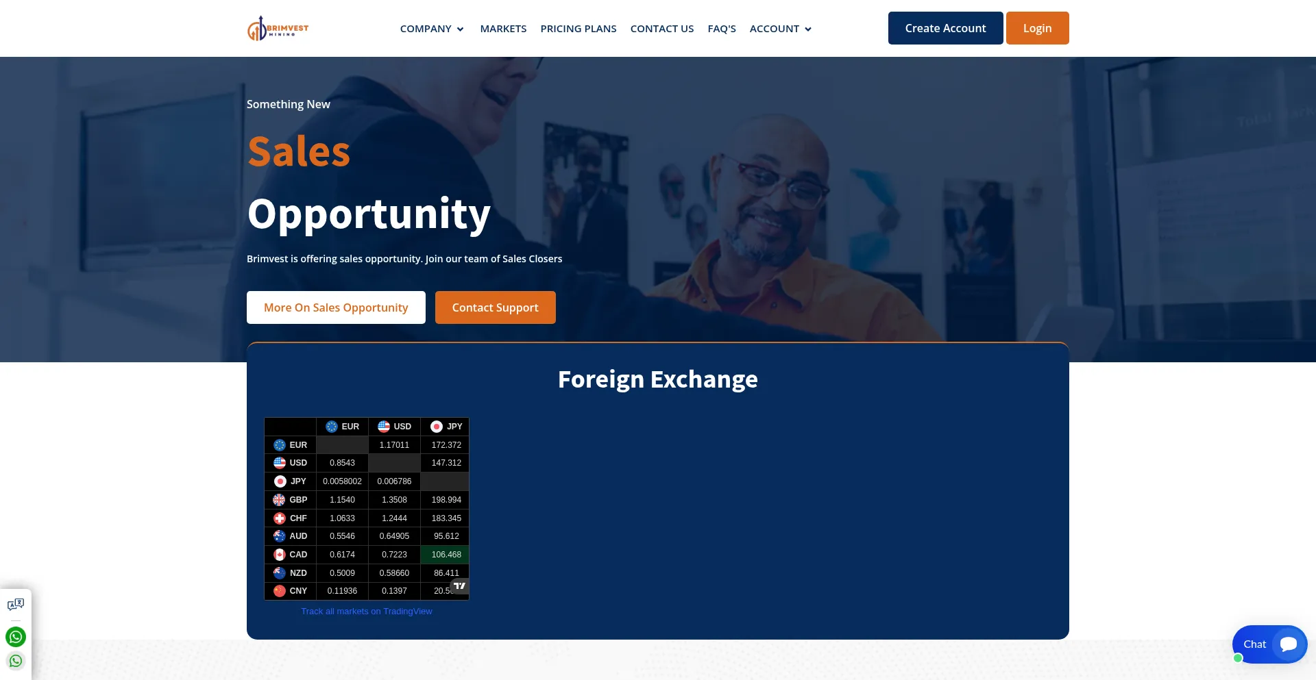 Website screenshot of Brim-vest.com