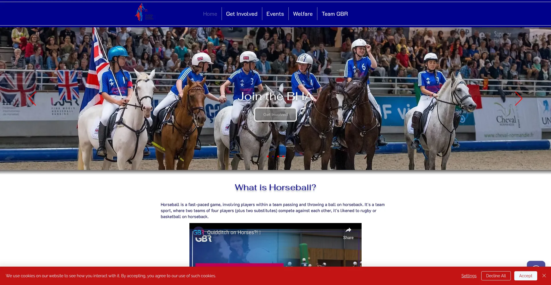 Britishhorseball.co.uk