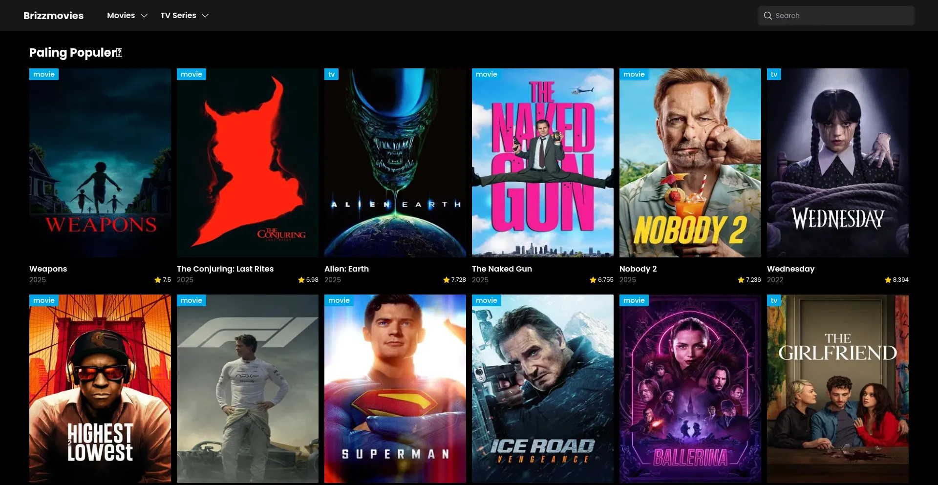 Brizzmovies.com é Seguro e Confiável?
