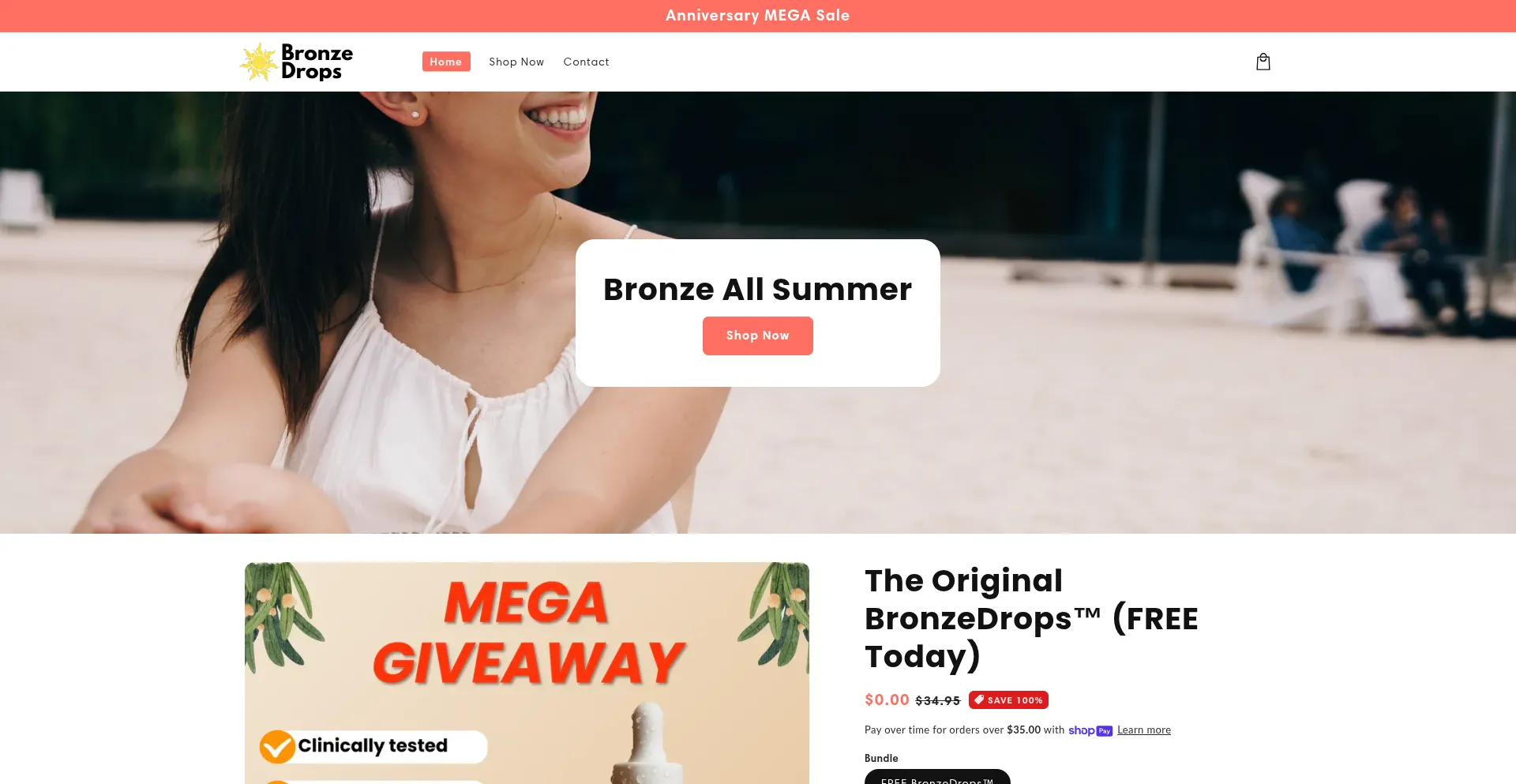 Website screenshot of Bronze-chews.com