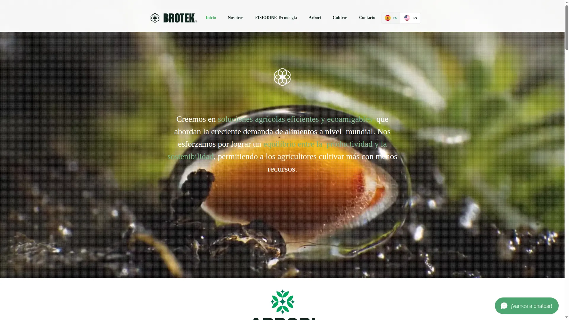Brotek-company.com