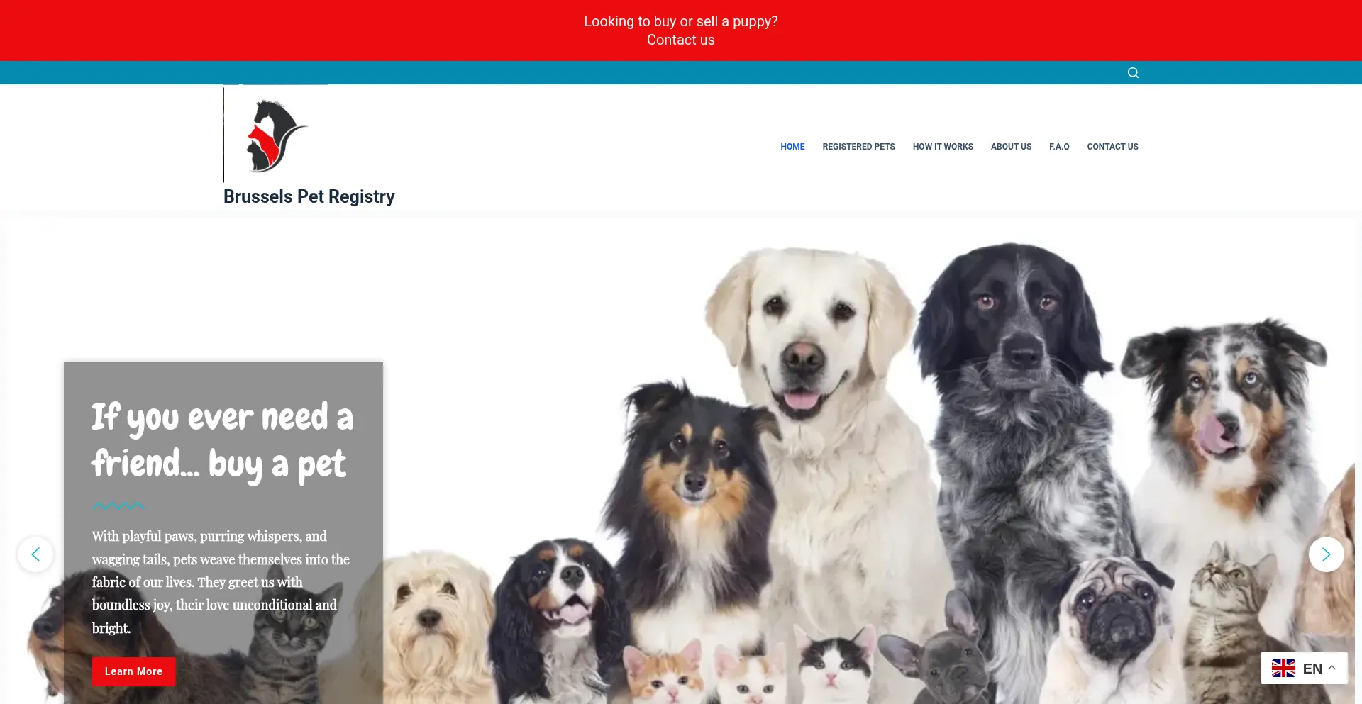 Website screenshot of Brusselspetregistry.com