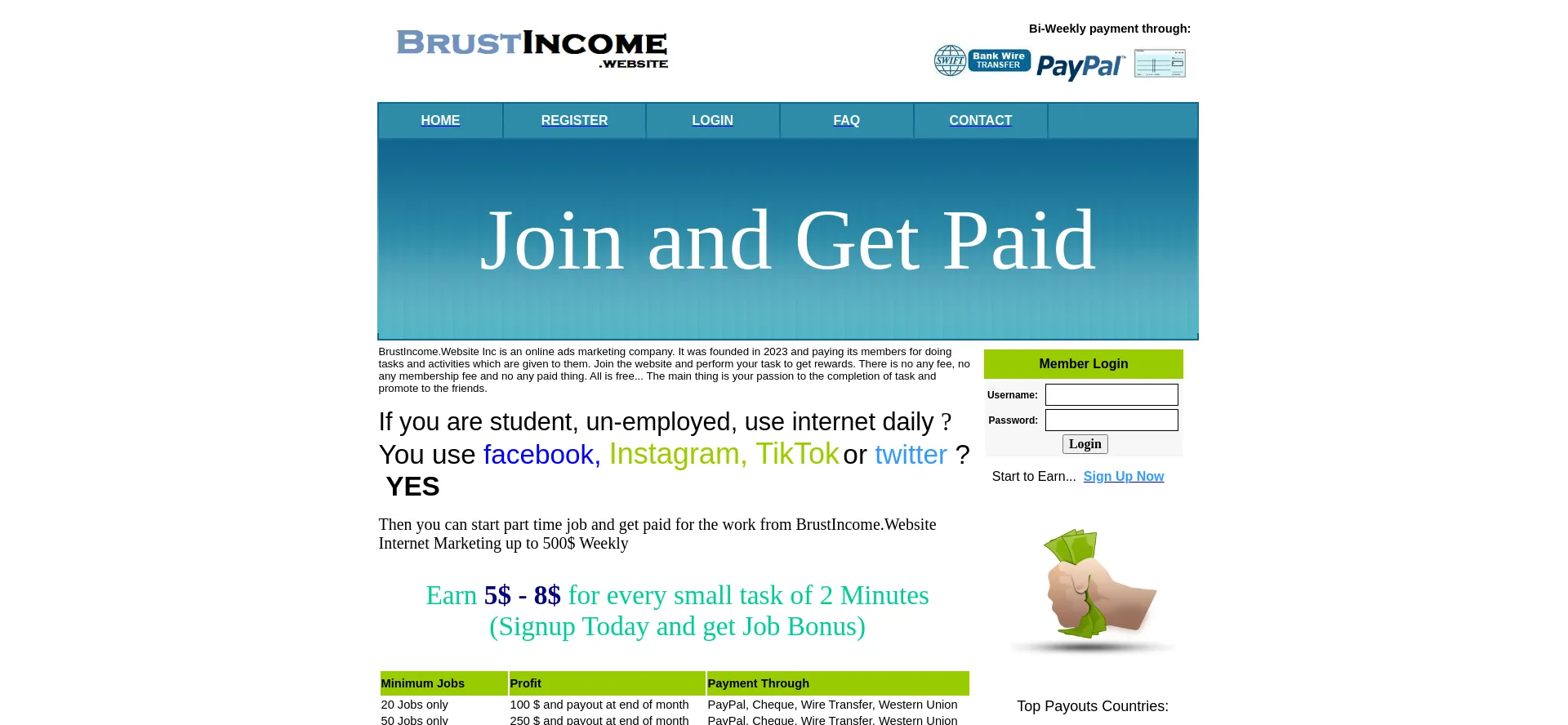 Website screenshot of Brustincome.website