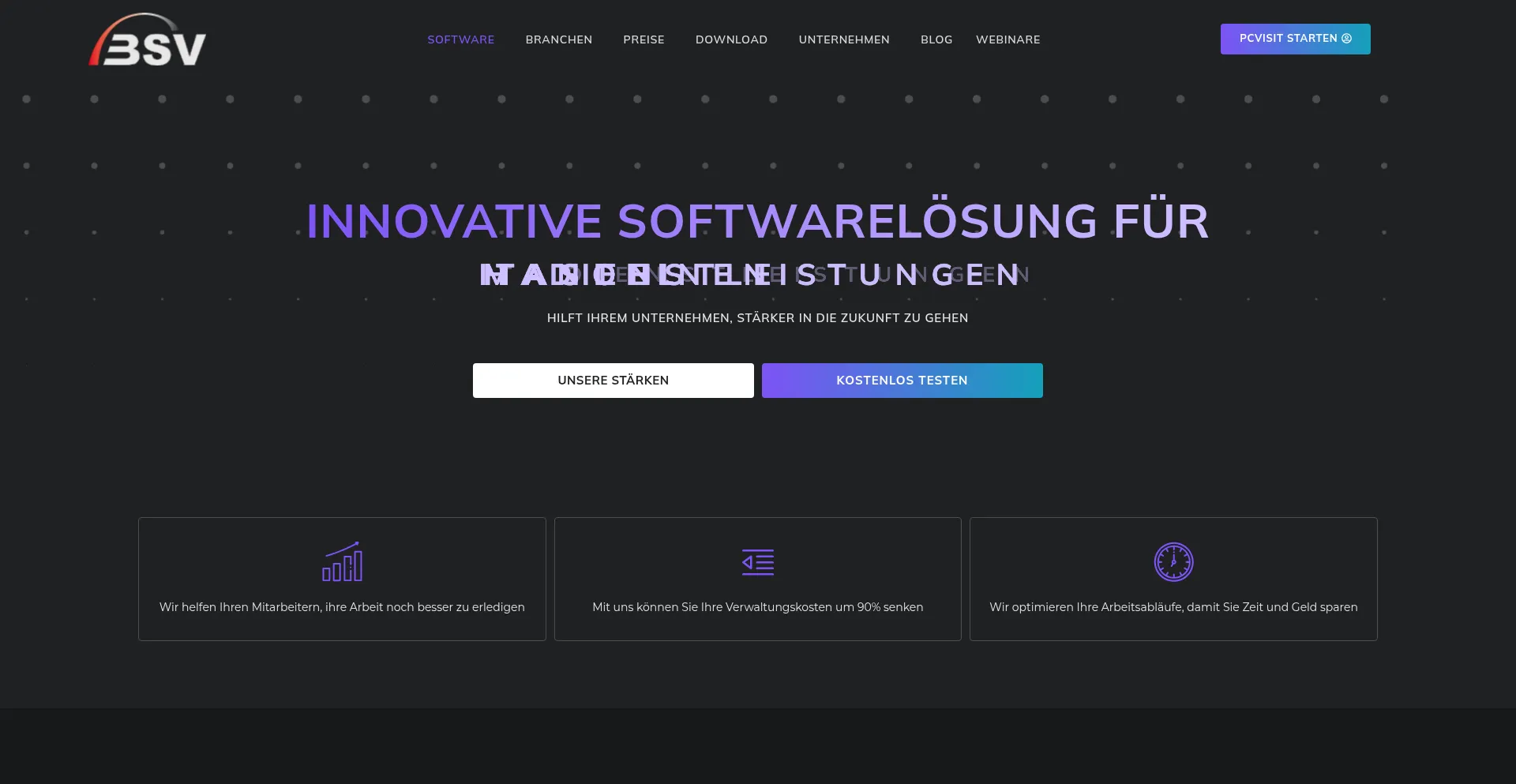 Website screenshot of Bsv.net