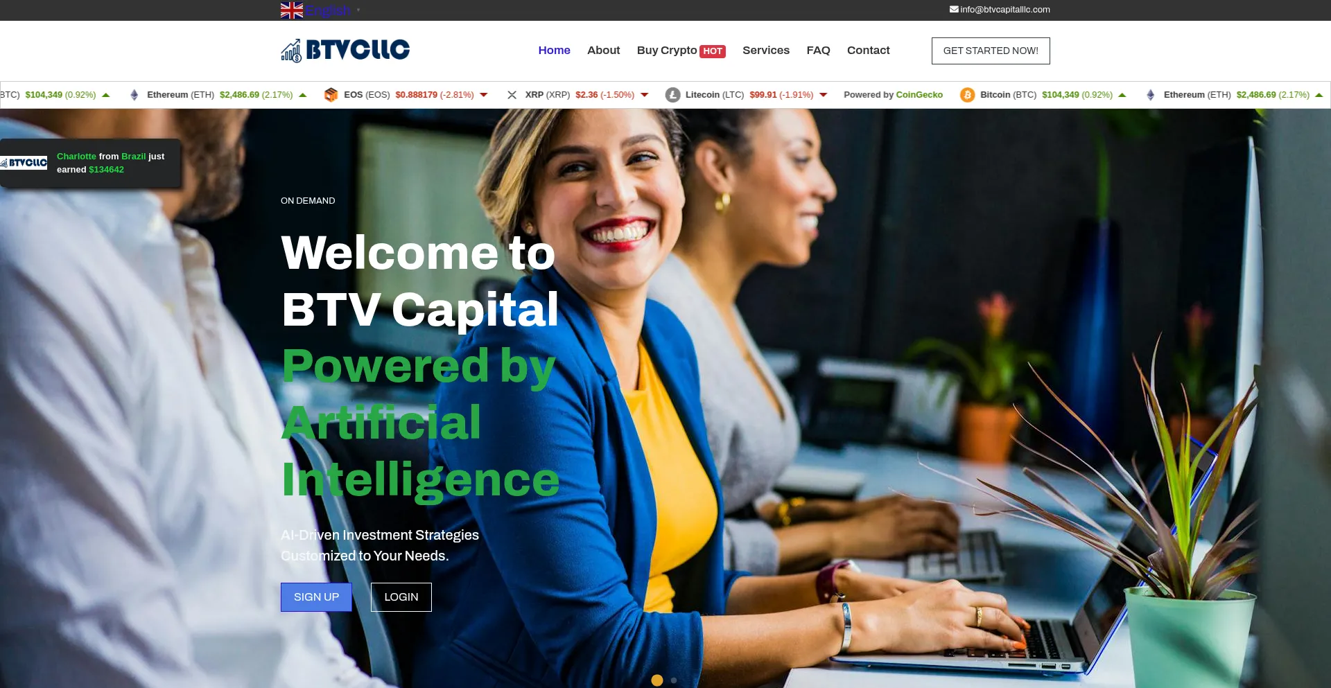 Website screenshot of Btvcapitalllc.com