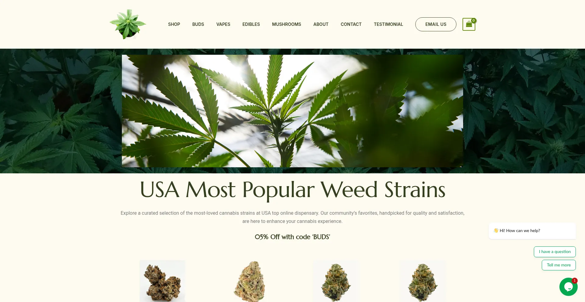 Budslane.com é Seguro e Confiável?