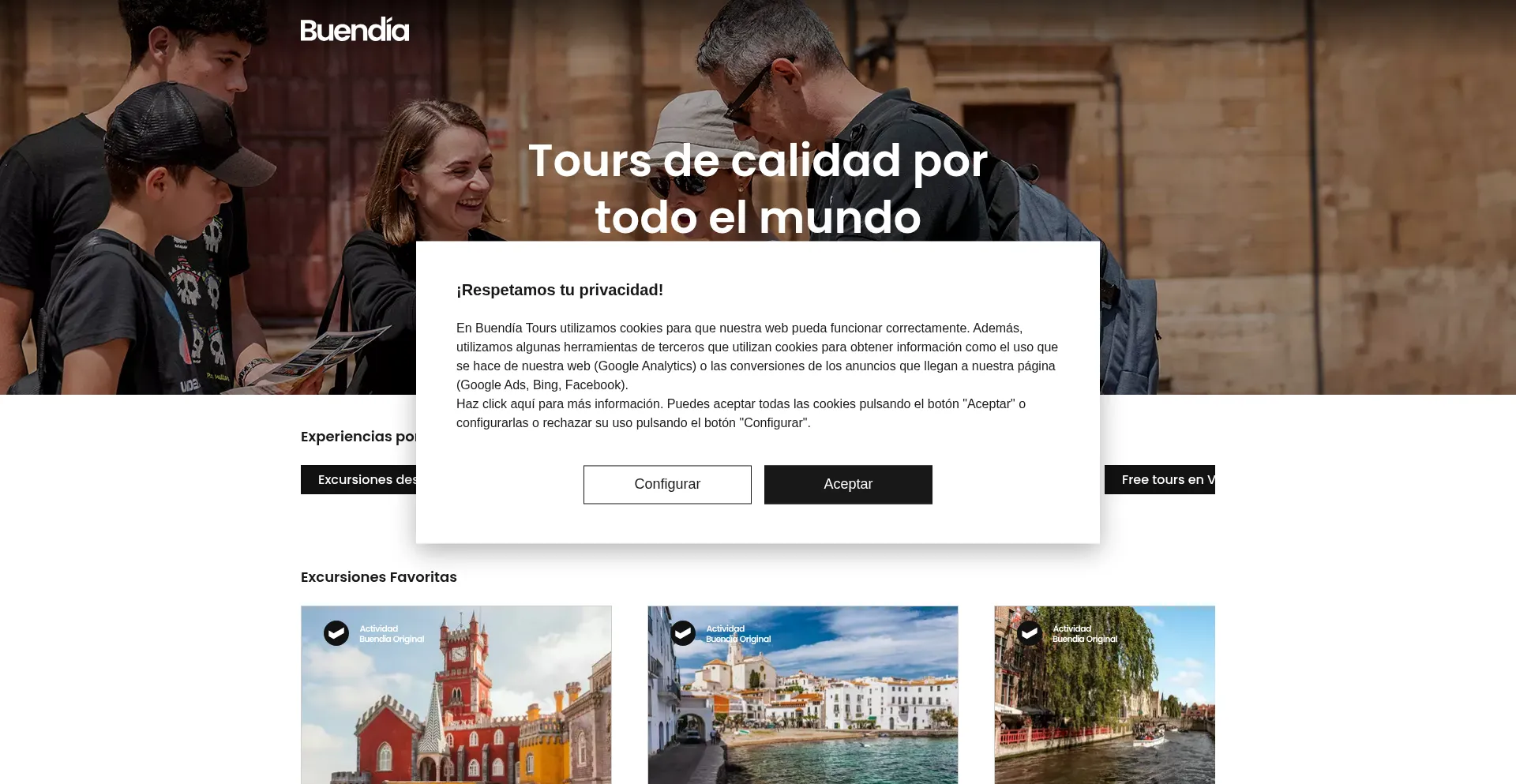 Website screenshot of Buendiatours.com
