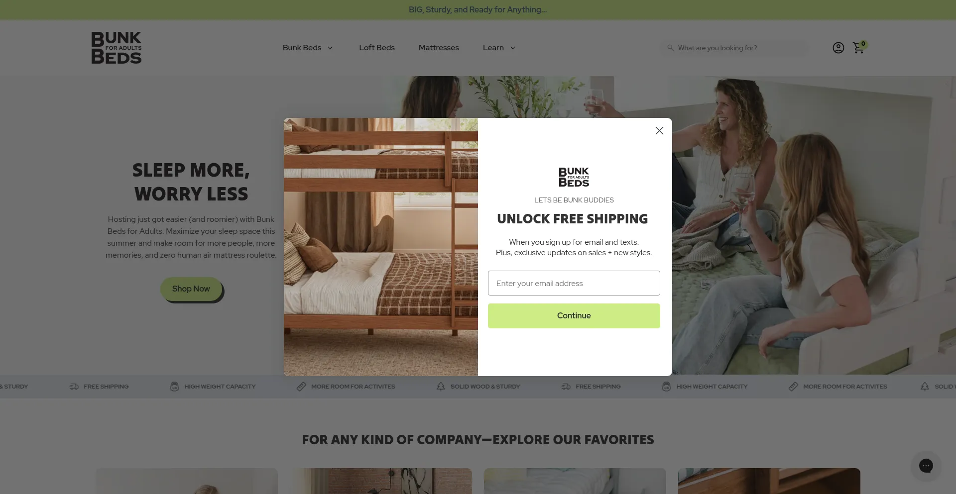 Website screenshot of Bunkbedsforadults.com