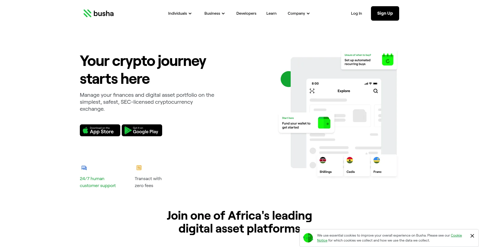 Website screenshot of Busha.io